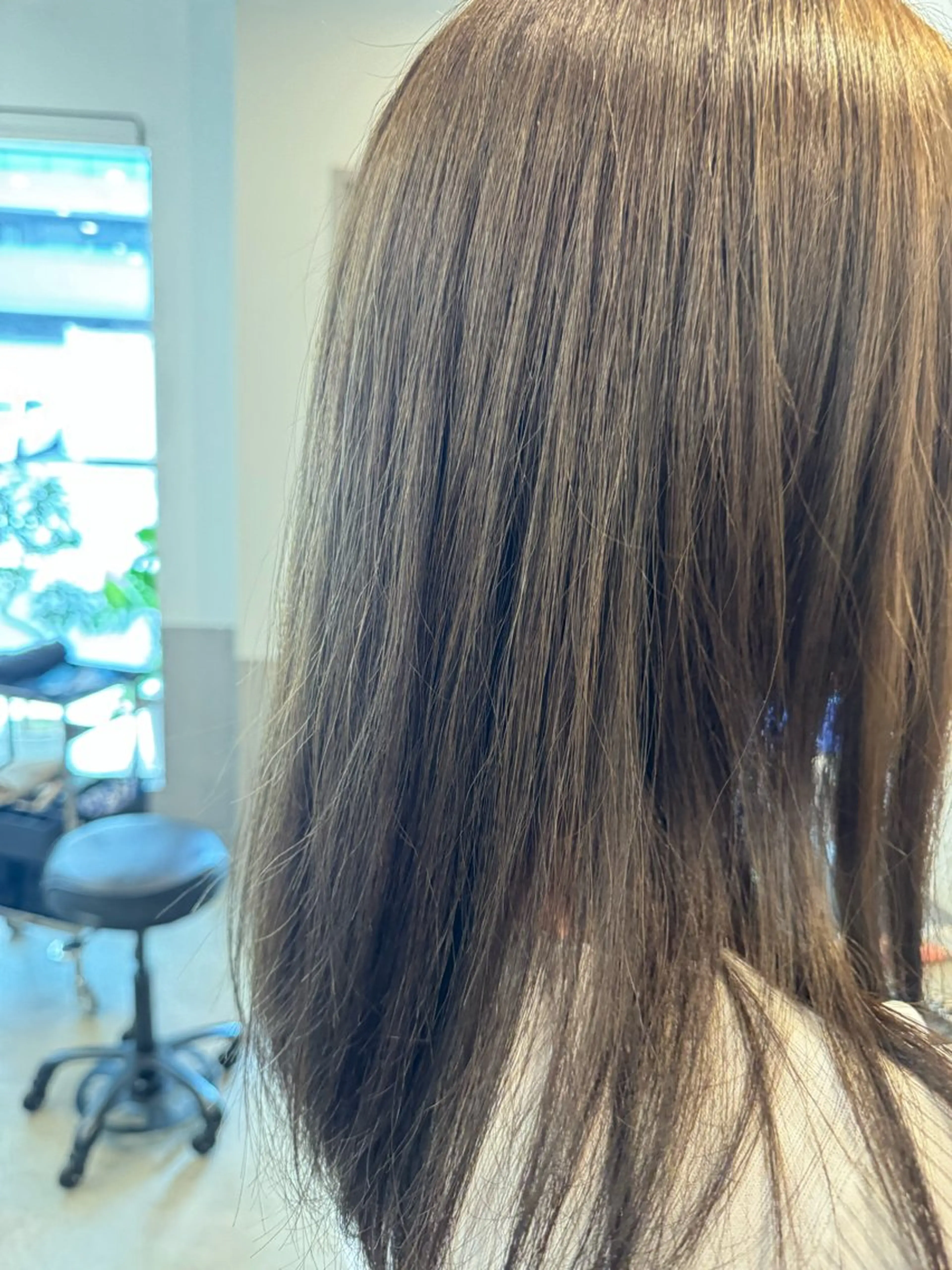 セミロング カラー 透明感カラー オリーブグレー ヘアカラー トリートメント dog star 関 海斗のヘアスタイル