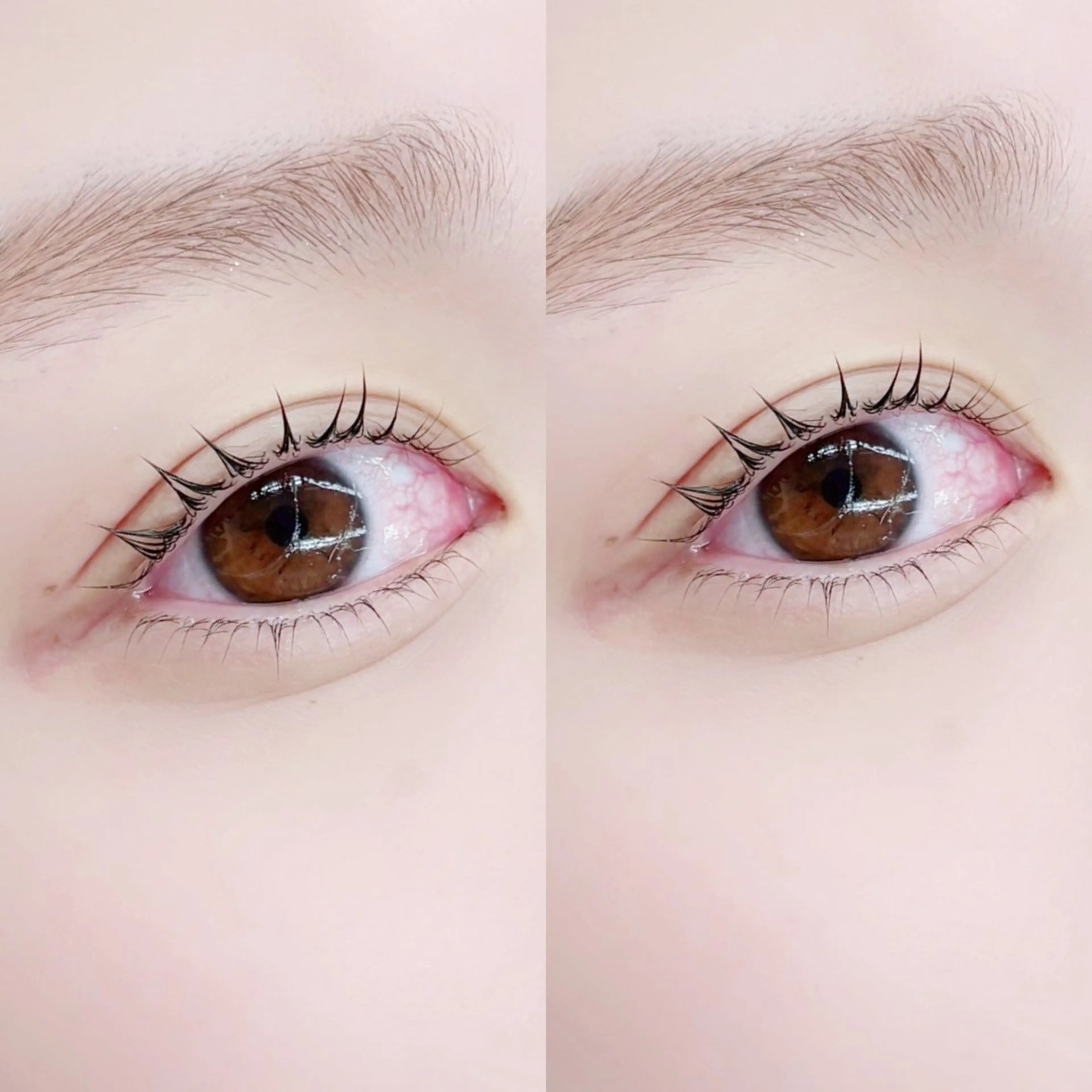 マツエク・マツパ TAKAHASHI 🎀✨韓国風/束感のマツエク・マツパデザイン