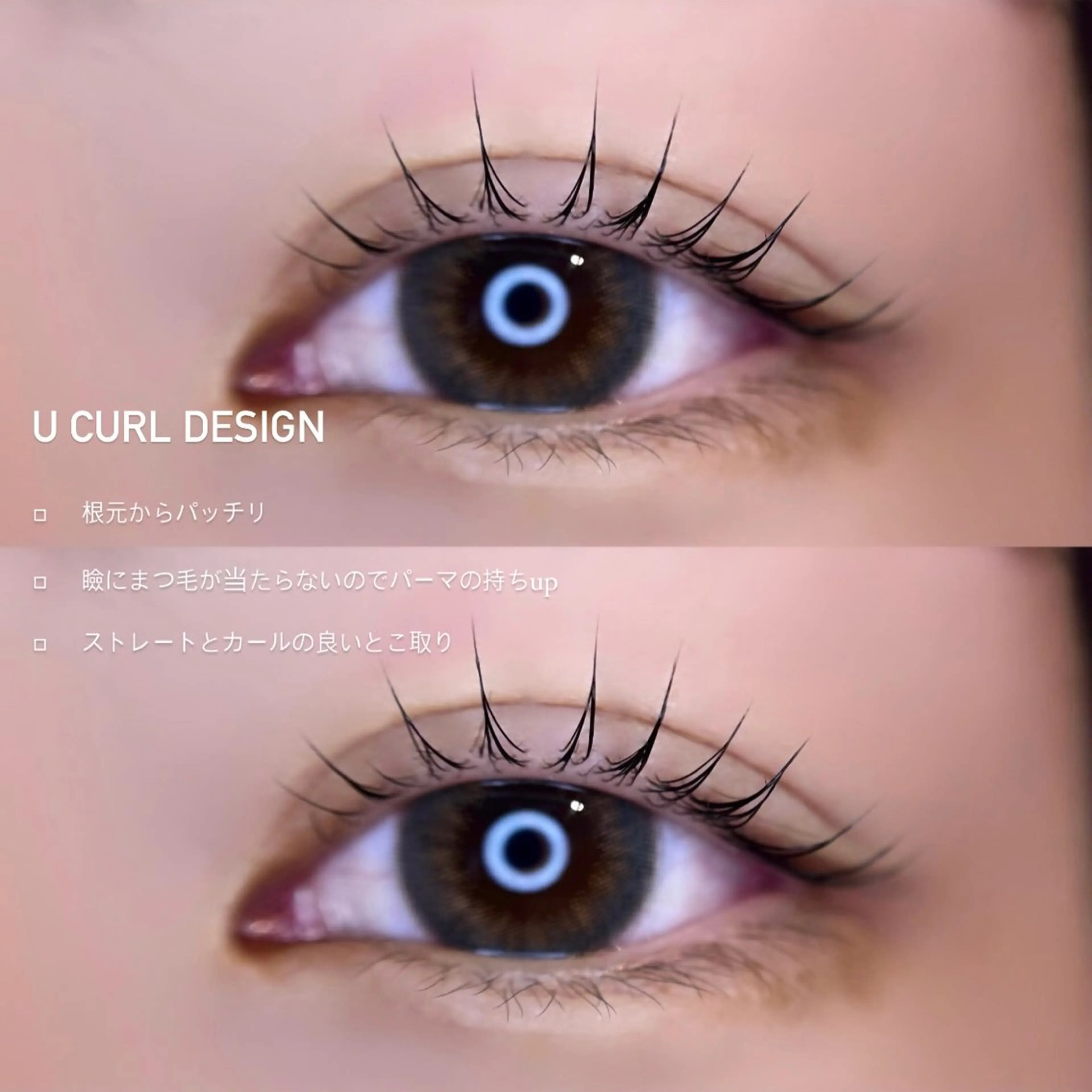 マツエク・マツパ arce -ｱﾙｾ- 🔅ヒマワリのマツエク・マツパデザイン