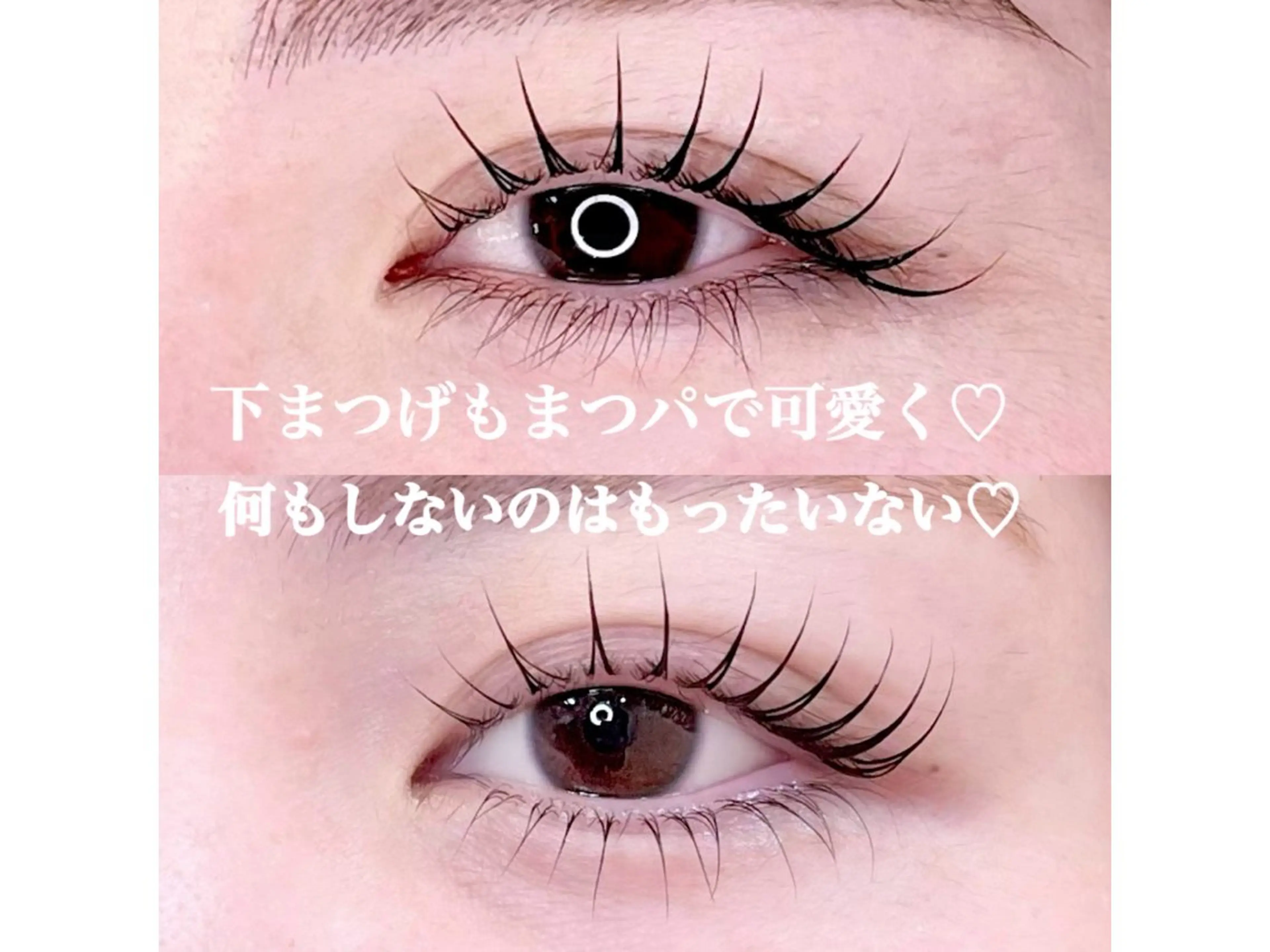 🤍無料モデル🤍下まつげパーマ4・5月♡♡の写真