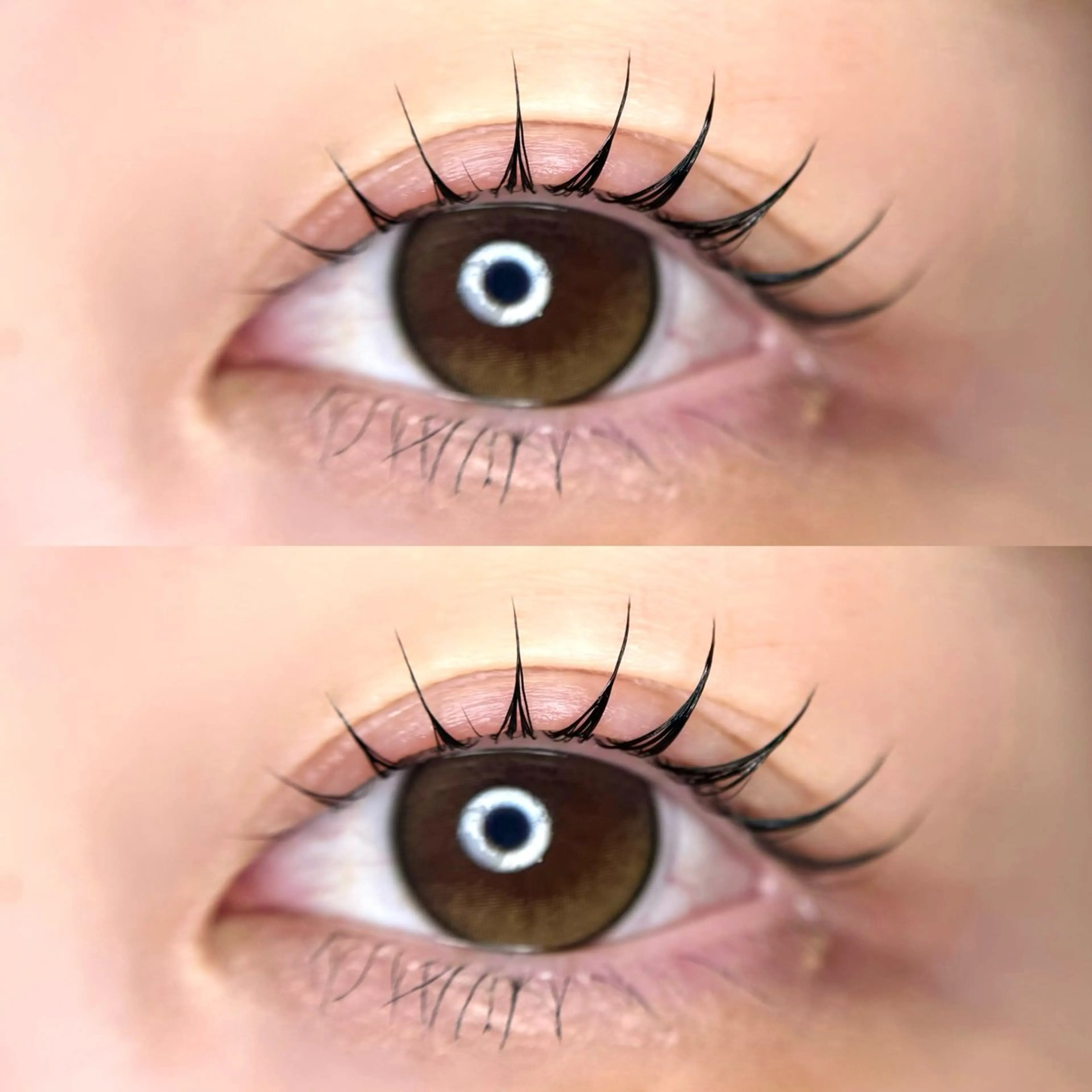 ひまわりオススメ✨️束感立ち上げ系選べる上まつ毛パーマ✨️〔コーティング仕上げ〕の写真