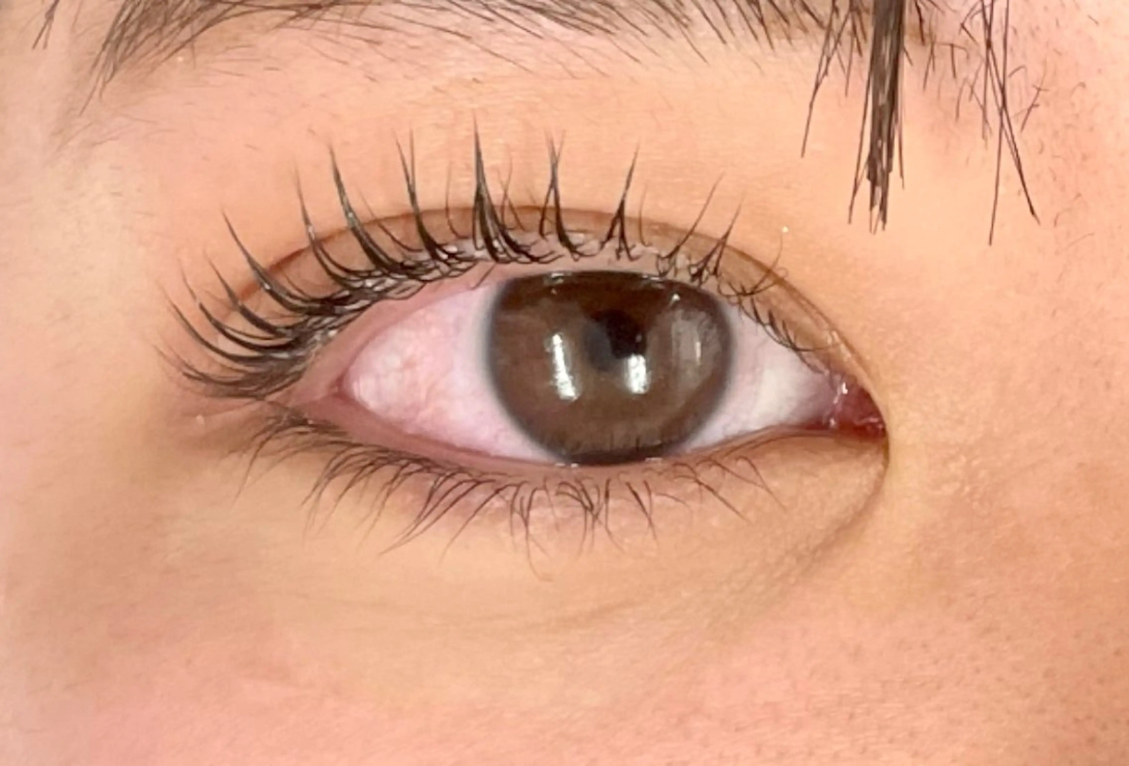 マツエク・マツパ alicetokyo .iwabuchiのマツエク・マツパデザイン