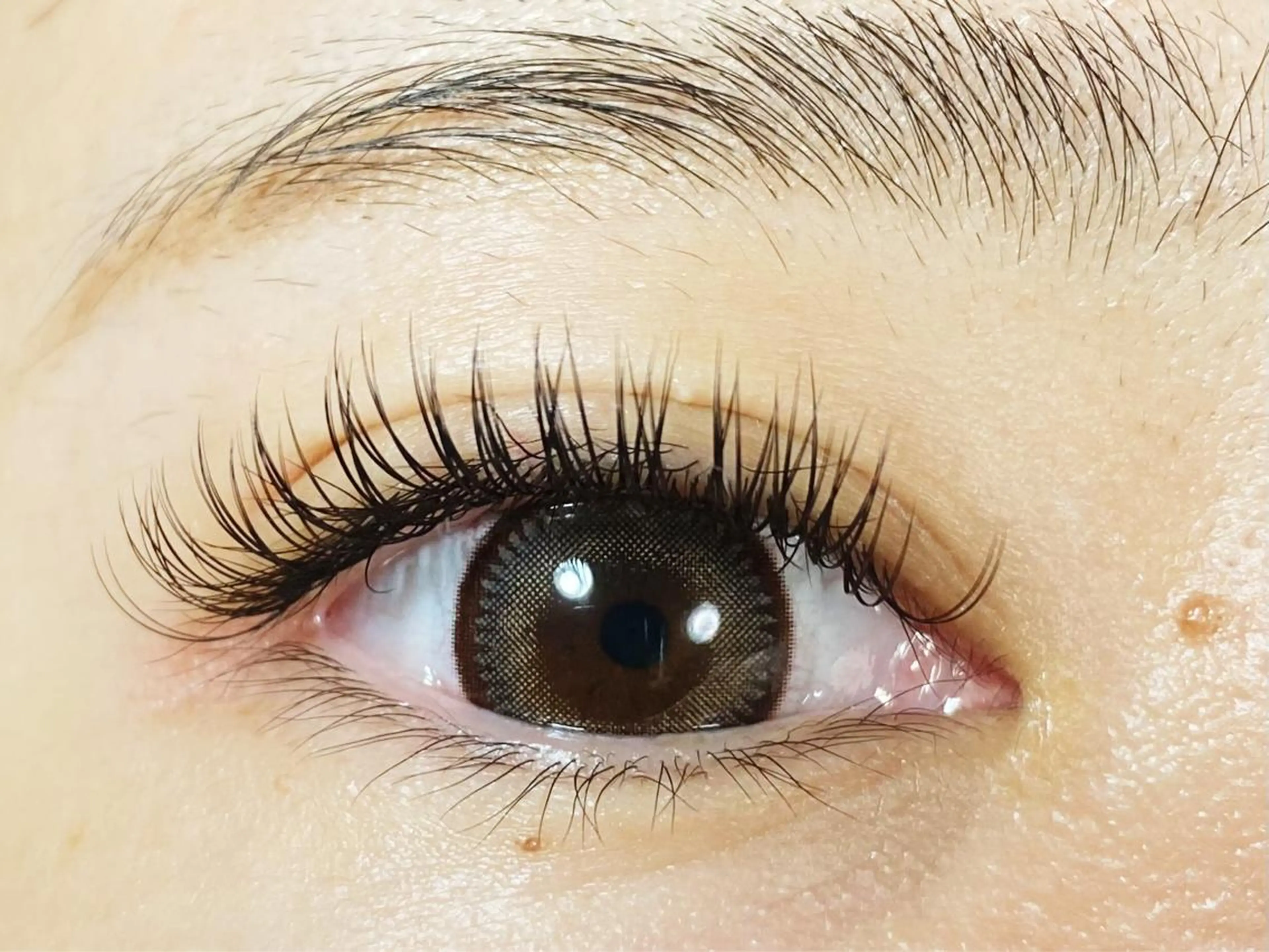 【新規】❤️持続期間1.5倍❤️バラつかずモチがいいと好評❤️ 2Dエクステ 140本（オフ込み）　6400円★の写真