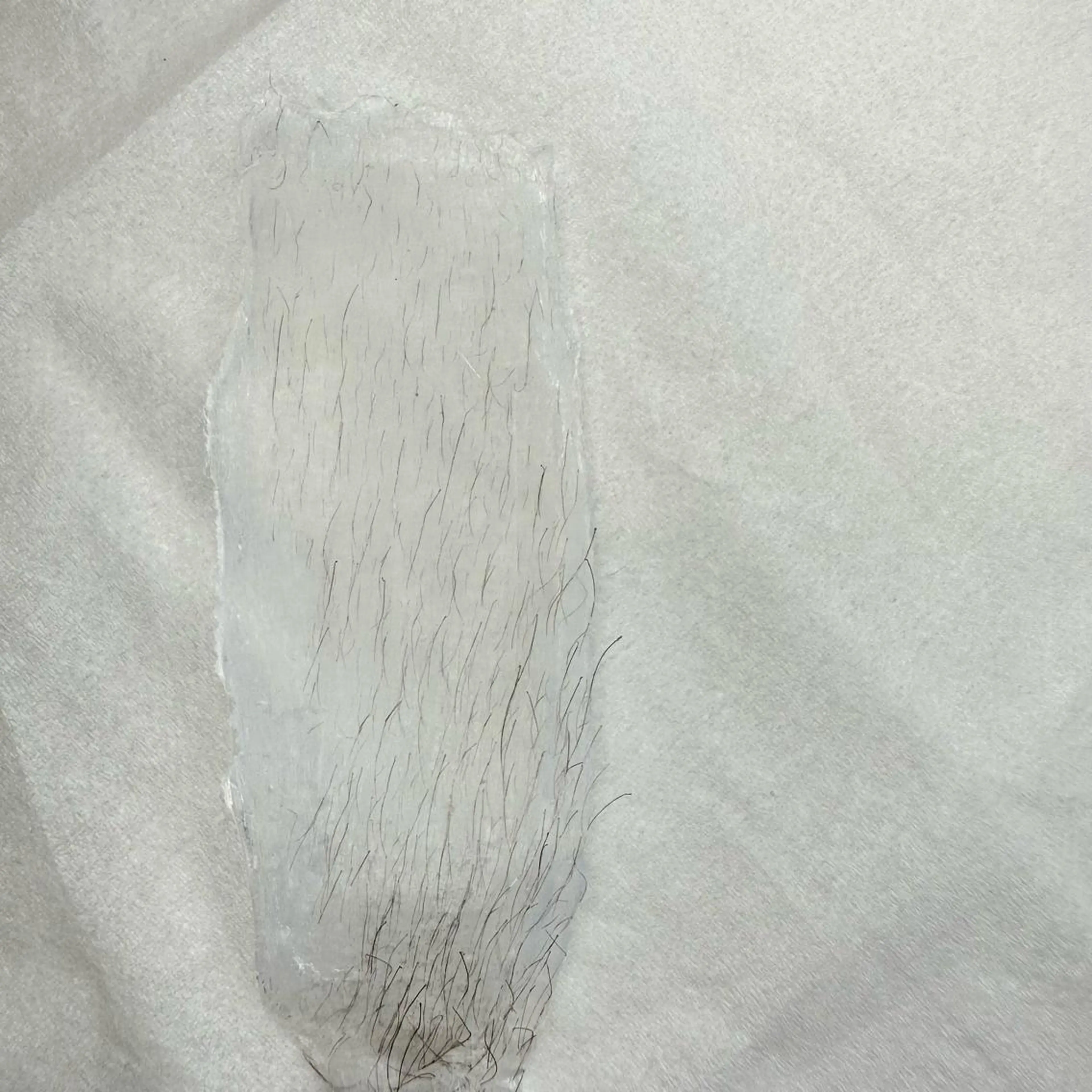 private    salon moco所属・まつ毛&ワックス脱毛 tomoの眉毛・アイブロウイメージ