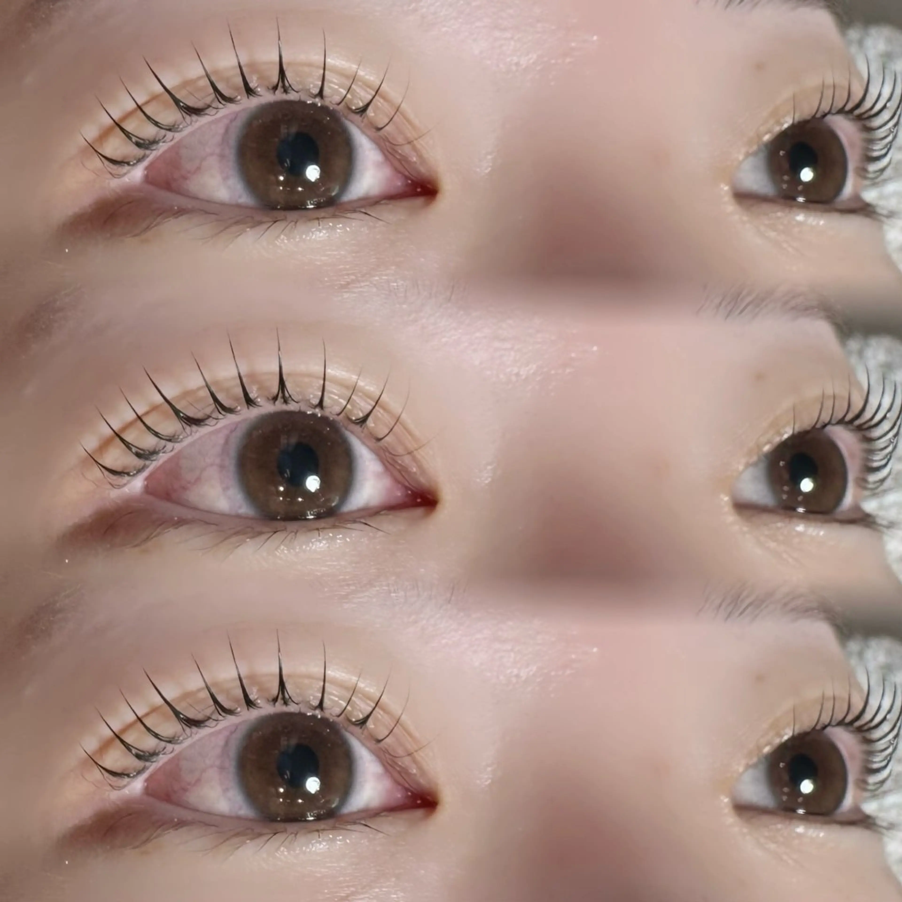 マツエク・マツパ MaaZ 7🦖⸒⸒のマツエク・マツパデザイン