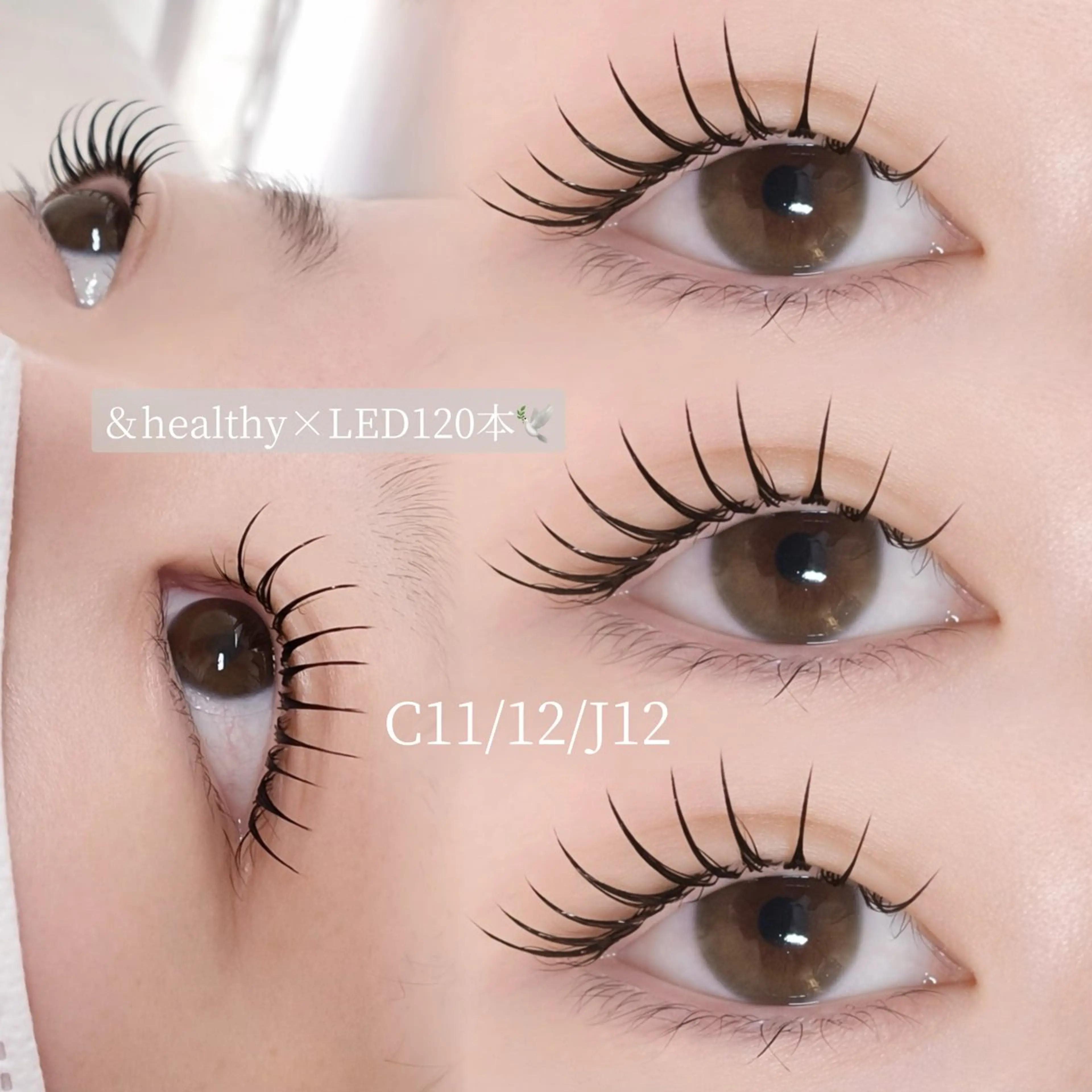 【新規限定クーポン✨️】アンドヘルシー×LEDフラットラッシュ80~120本【&healthy】アイシャンプー付き🌙の写真