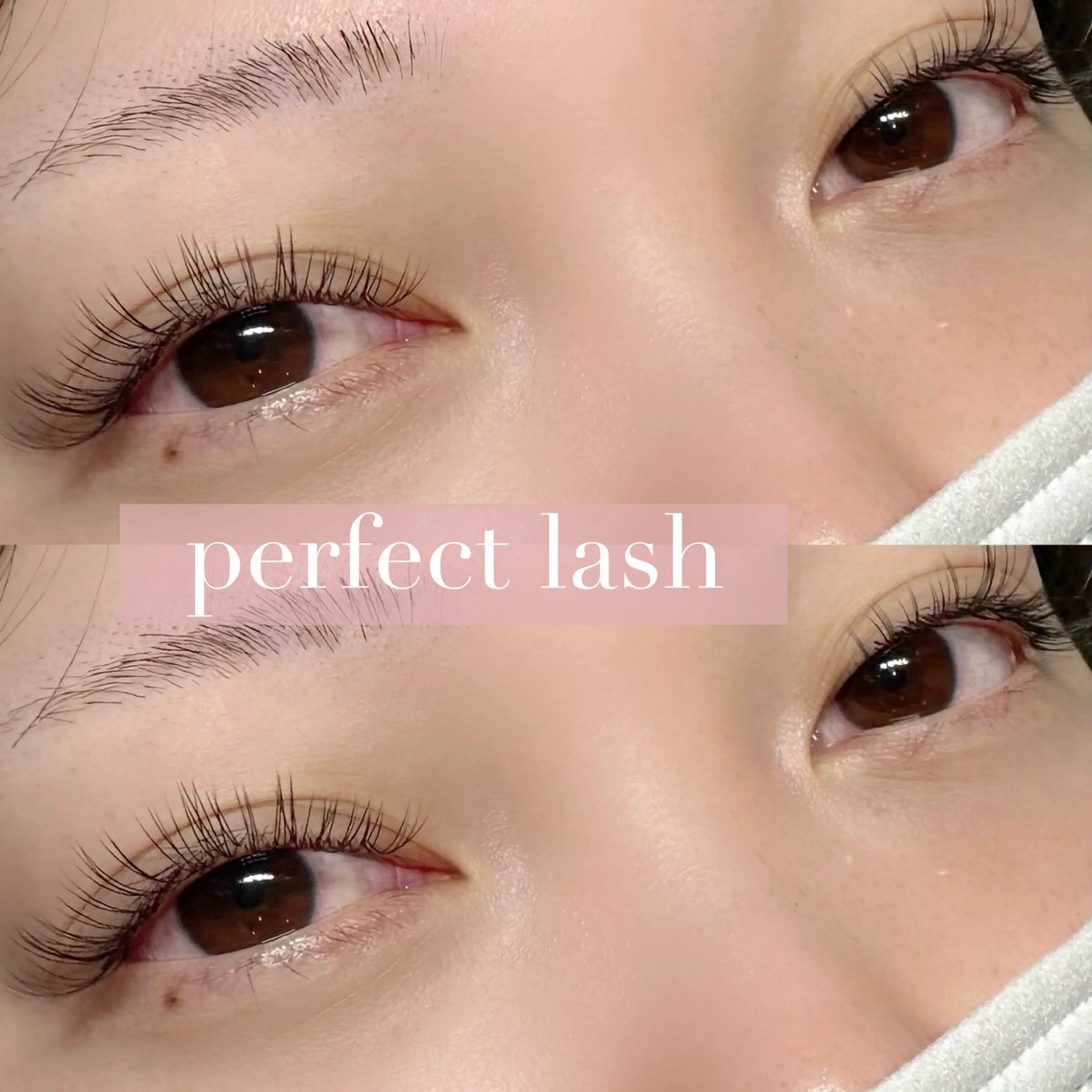 【持ちがいい】パーフェクトラッシュ120本🌷オフ込の写真