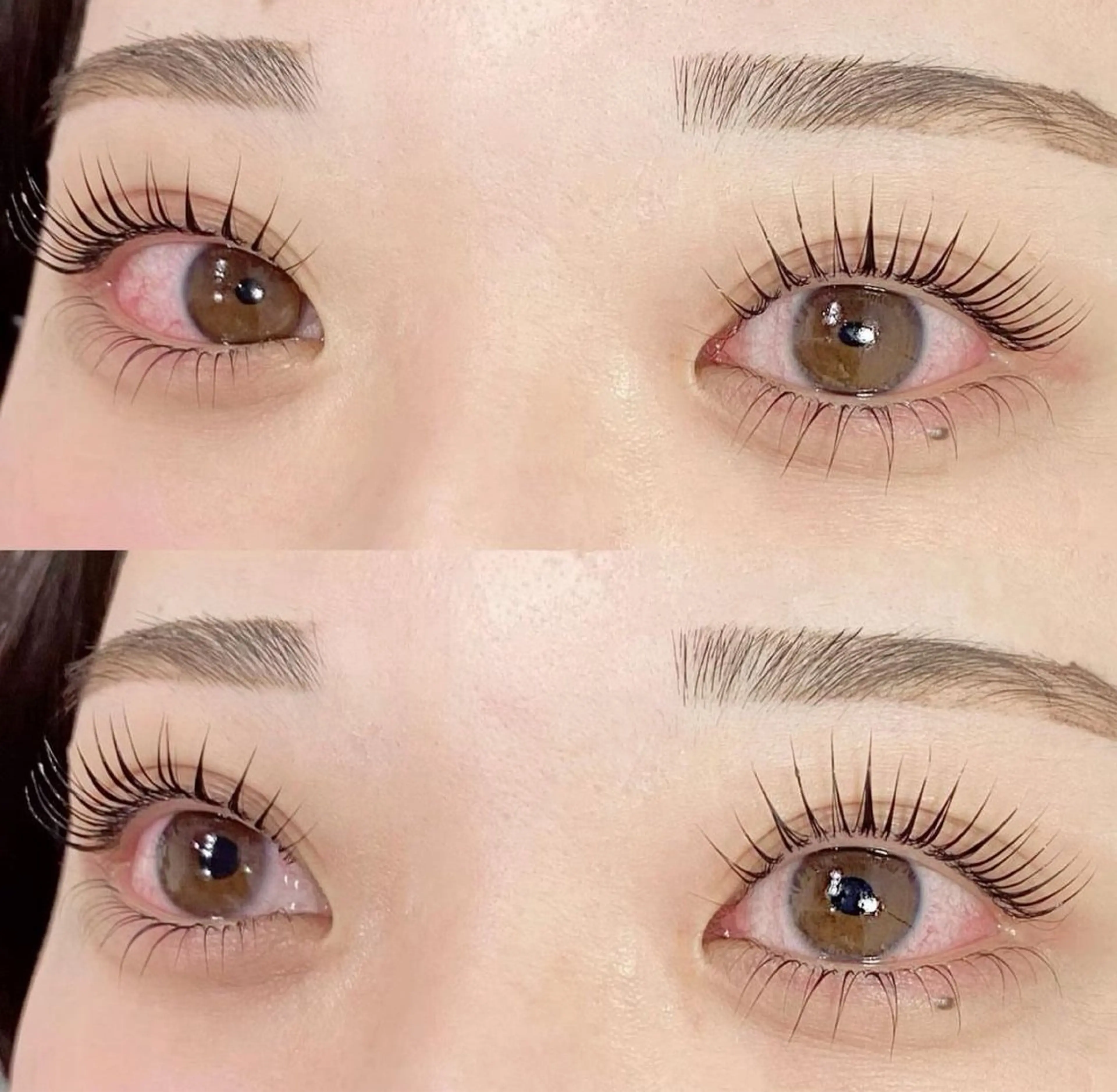 《新規限定》🩶上下パリジェンヌラッシュリフト🩶の写真