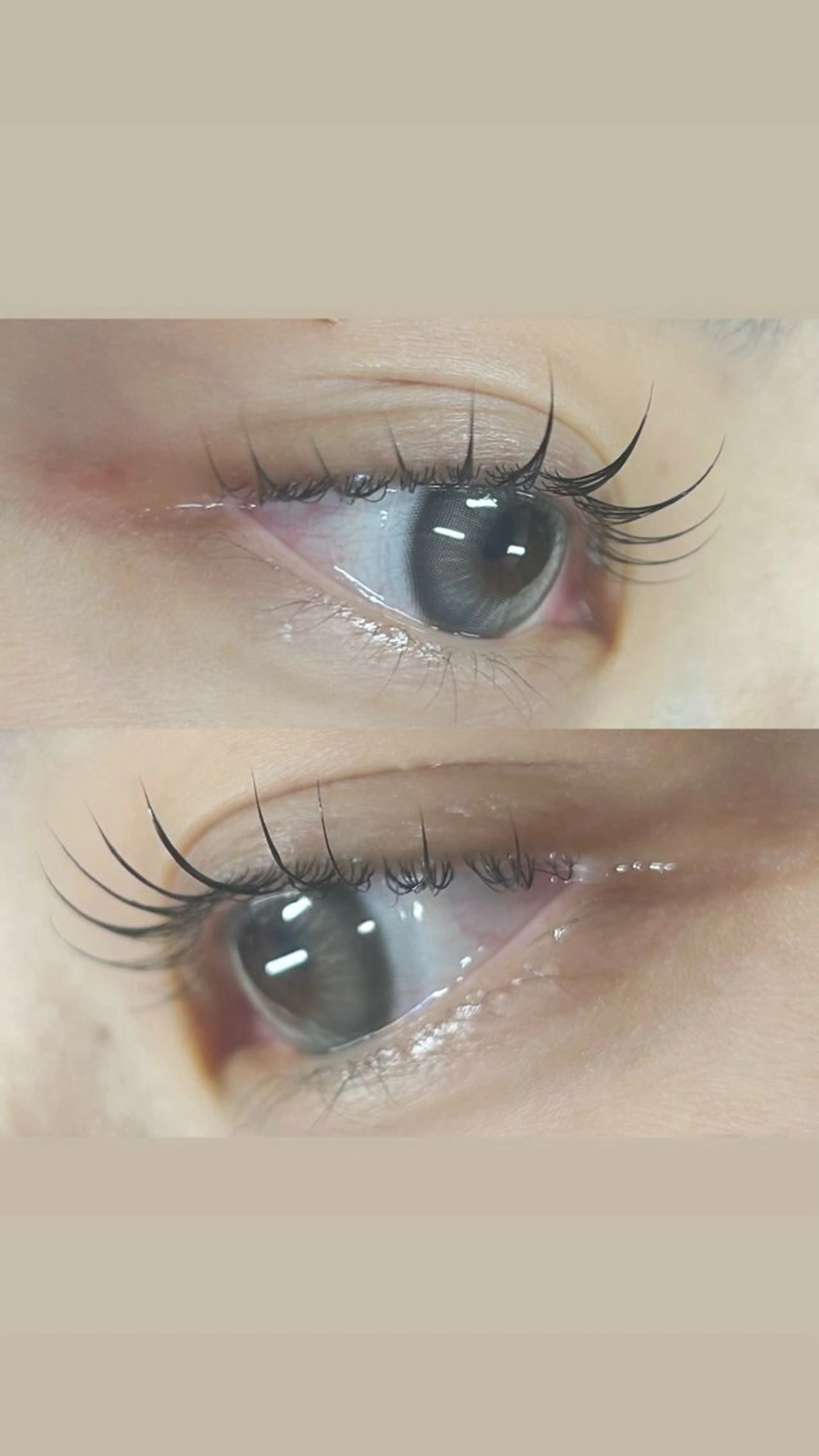 ラッシュリフト👀アイシャンプー付き✨ 【口コミ投稿してくれる方】の写真