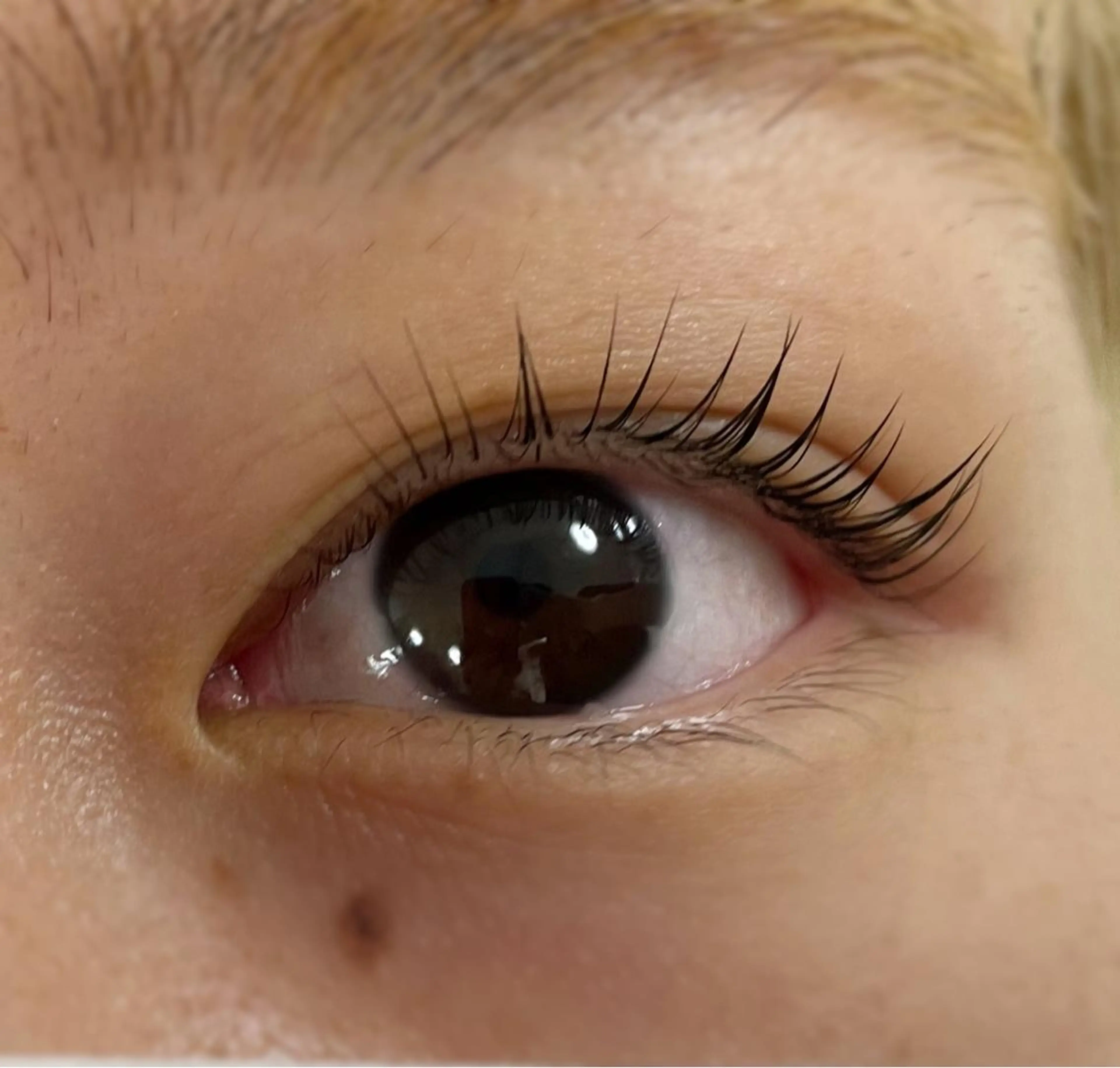 マツエク・マツパ mila.池袋 マツモトのマツエク・マツパデザイン