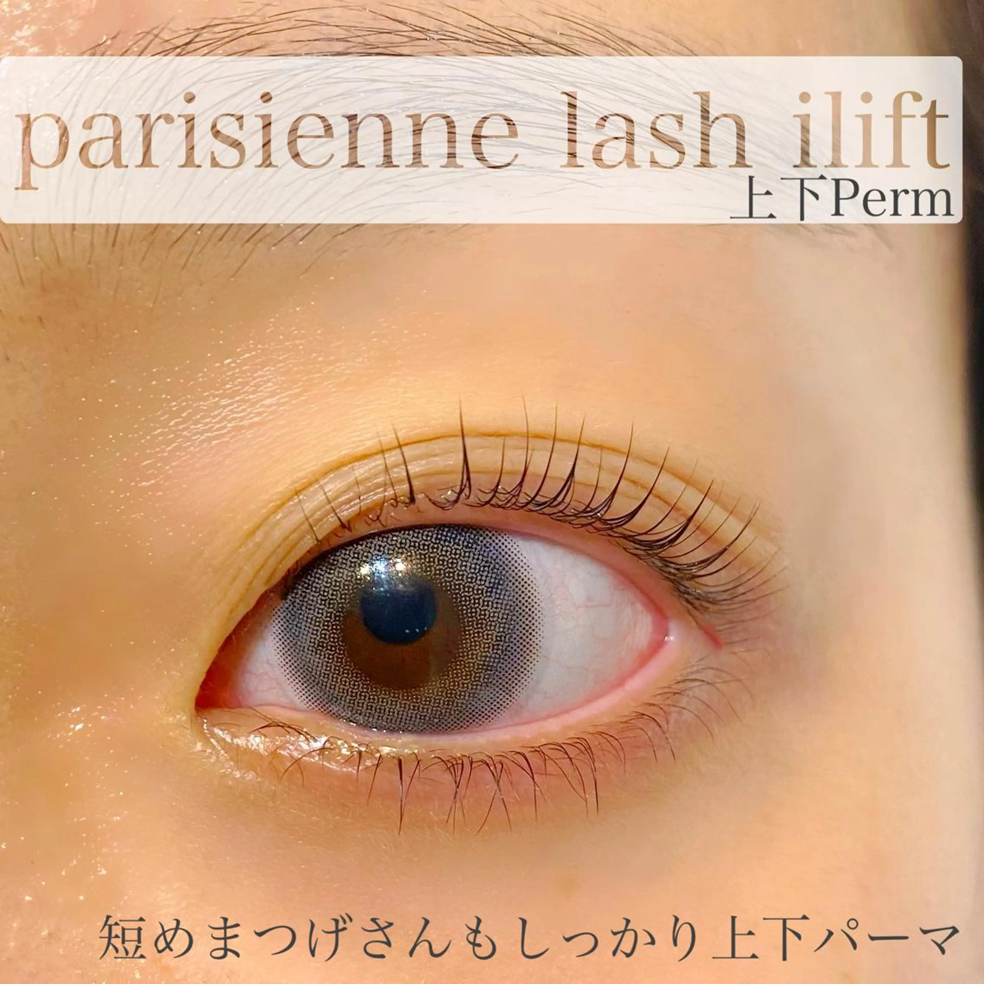 マツエク・マツパ マツパ 束感パリジェンヌ上下 恵比寿ayakaのマツエク・マツパデザイン