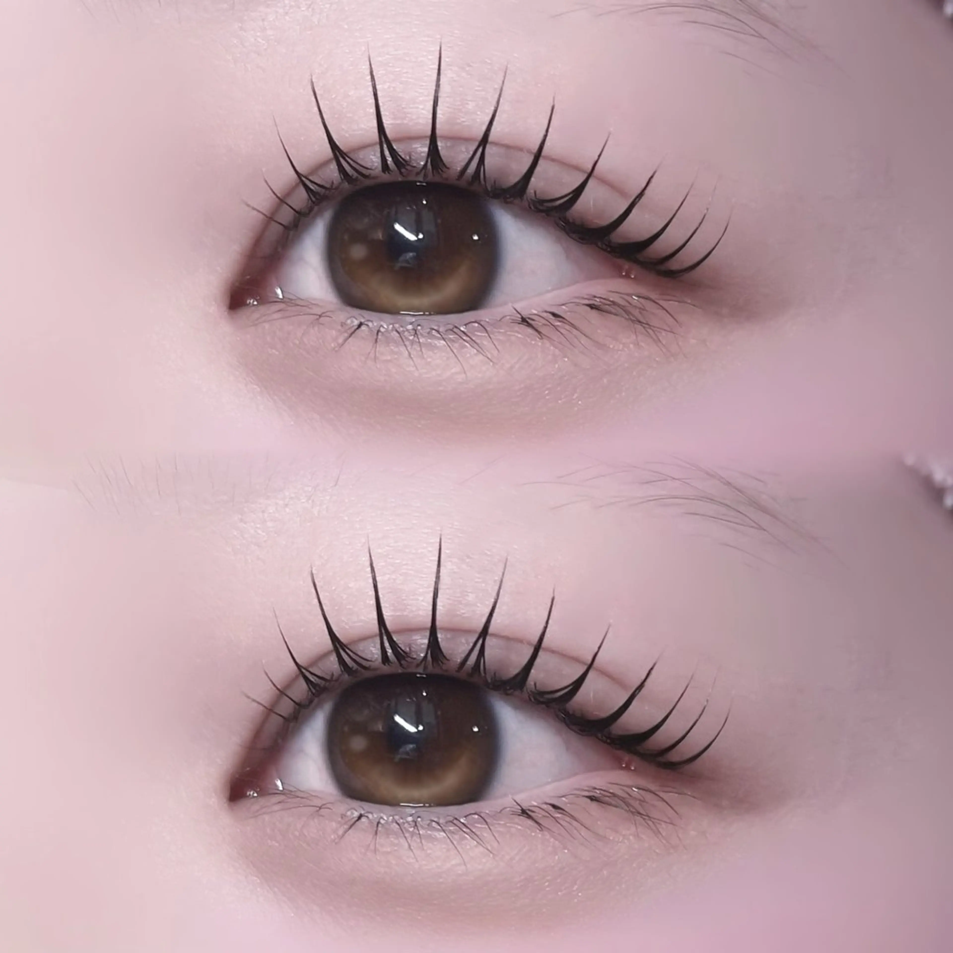 【💠コーティング剤セット💠】ラッシュリフト➕コーティング剤プレゼント🎁の写真