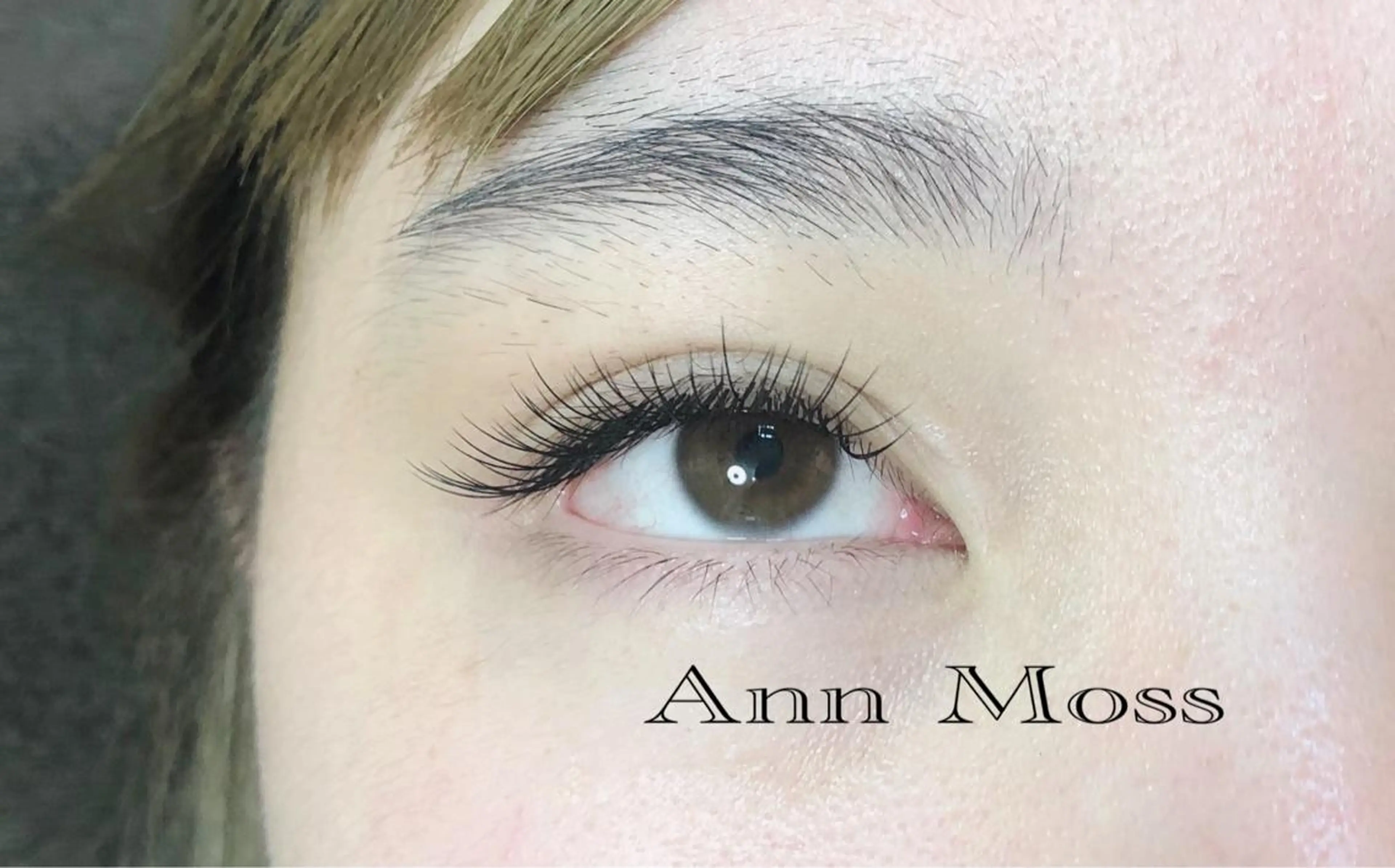 マツエク・マツパ 無料モデル募集中 Ann Mossのマツエク・マツパデザイン