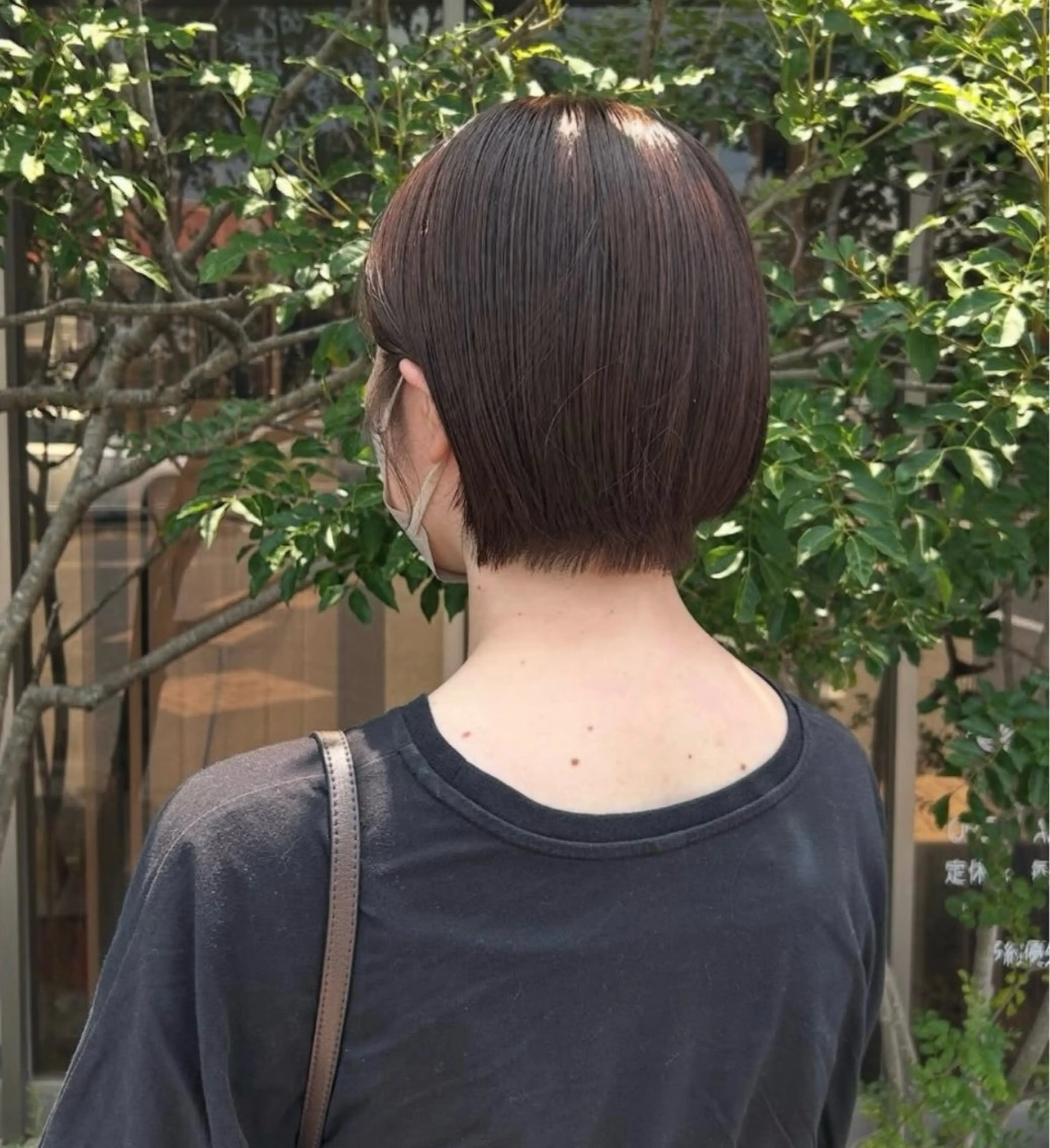 【☘️白髪染めおすすめメニュー☘️】カット+カラー+白髪予防トリートメントの写真