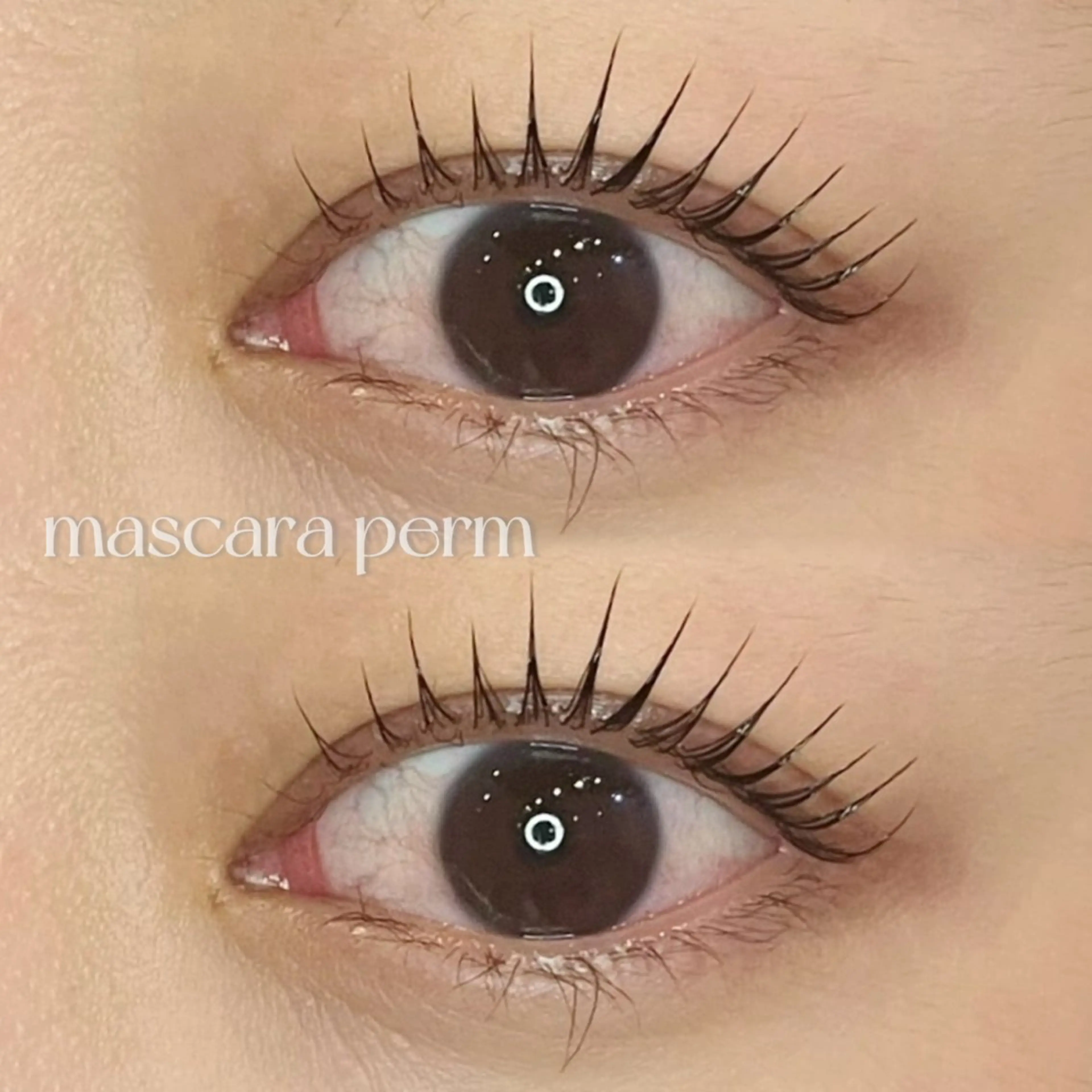 🫧マスカラパーマ(ラッシュリフト＋まつ毛ティント)🫧コーティング付 ¥6060の写真