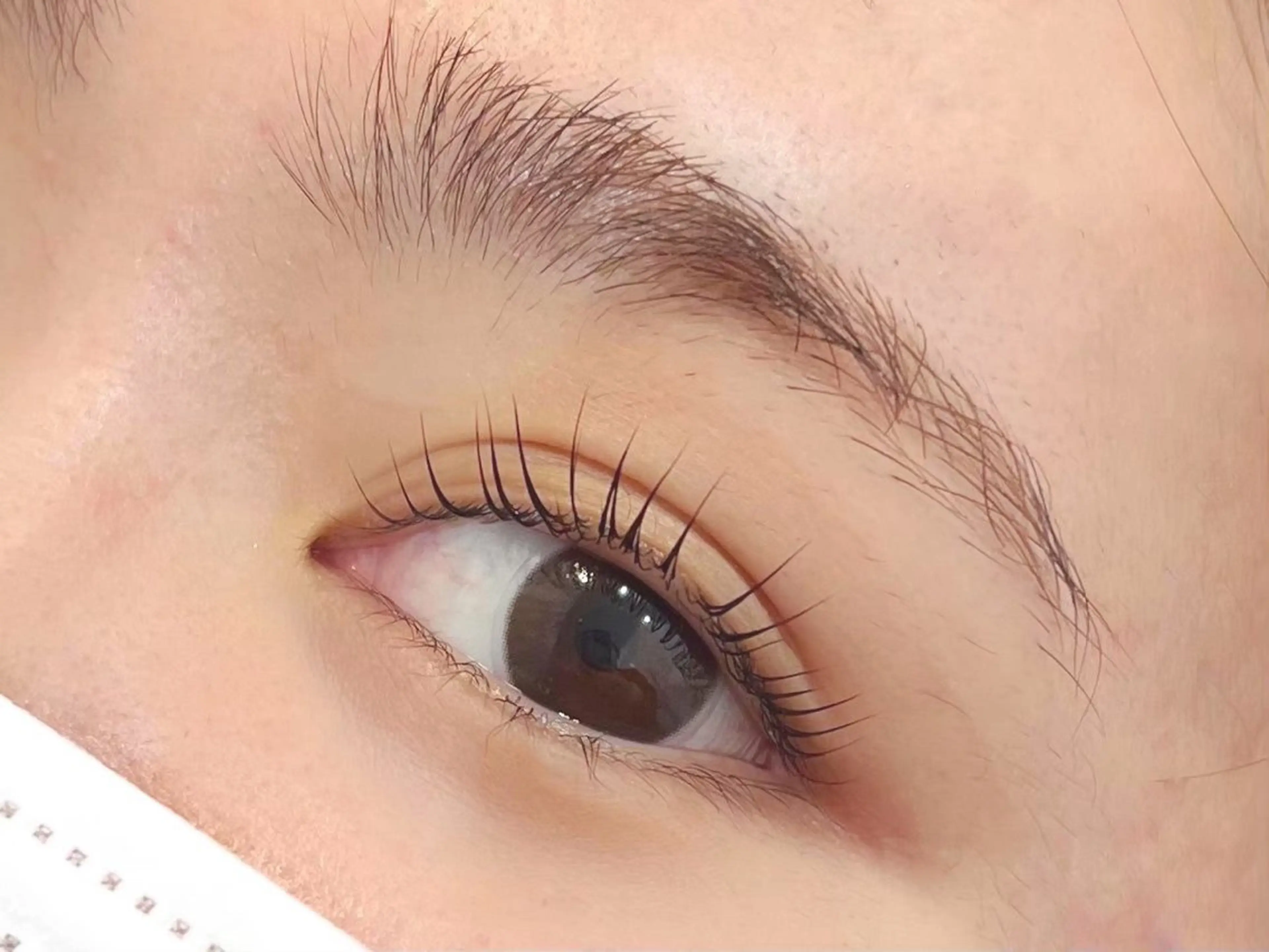 マツエク・マツパ eL 田中のマツエク・マツパデザイン