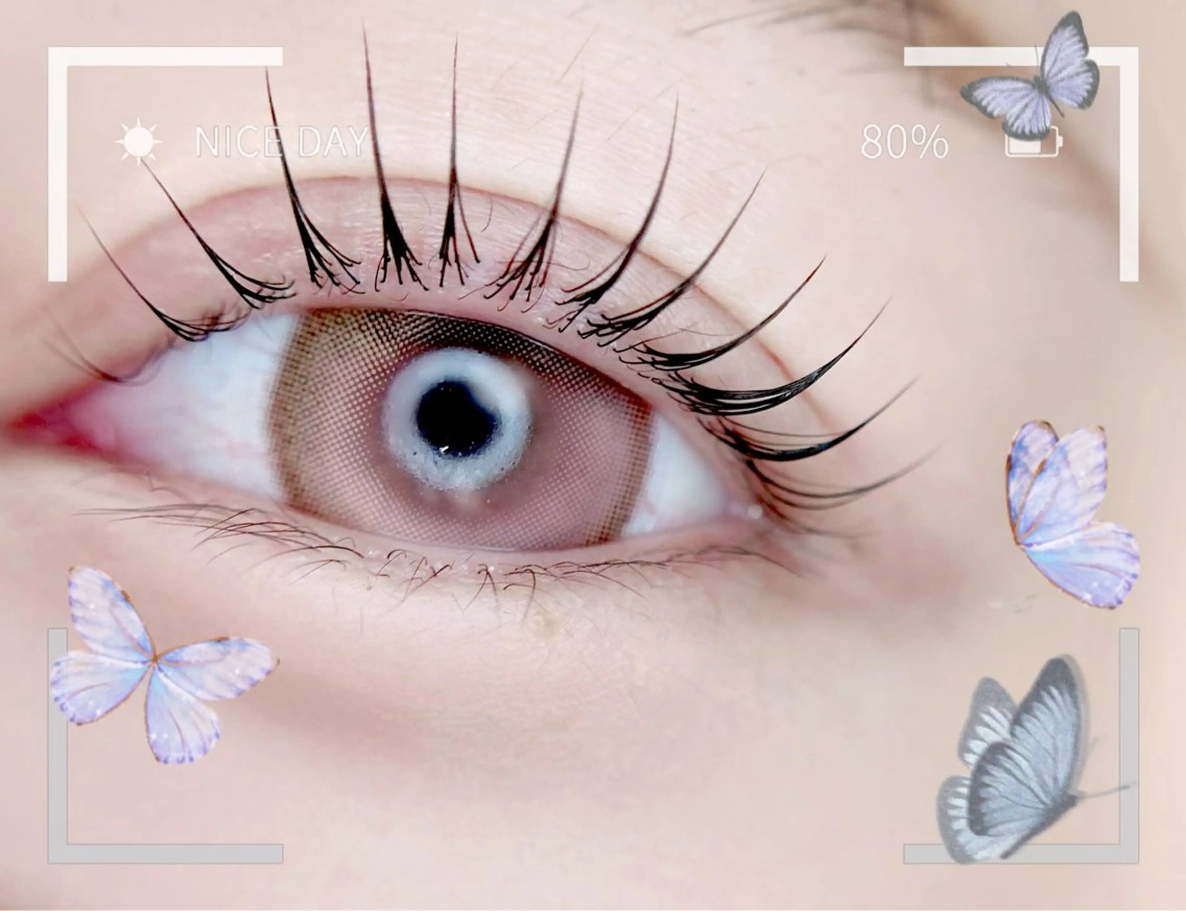 マツエク・マツパ 一重×まつ毛パーマ マツパ 🎀eyelist. mizuki🐈‍⬛の眉毛・アイブロウイメージ