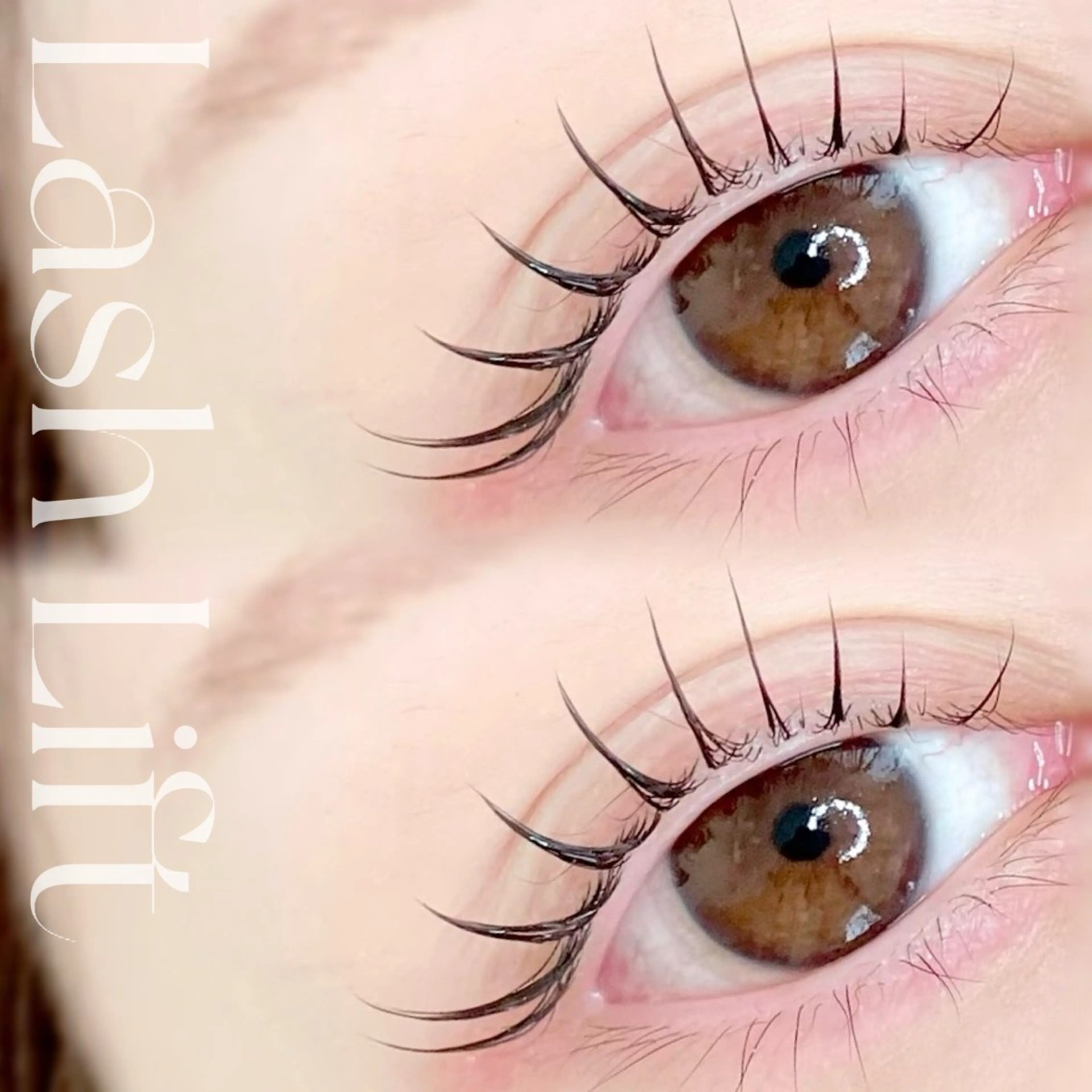 束感まつげパーマ【カール/パリジェンヌ】の写真