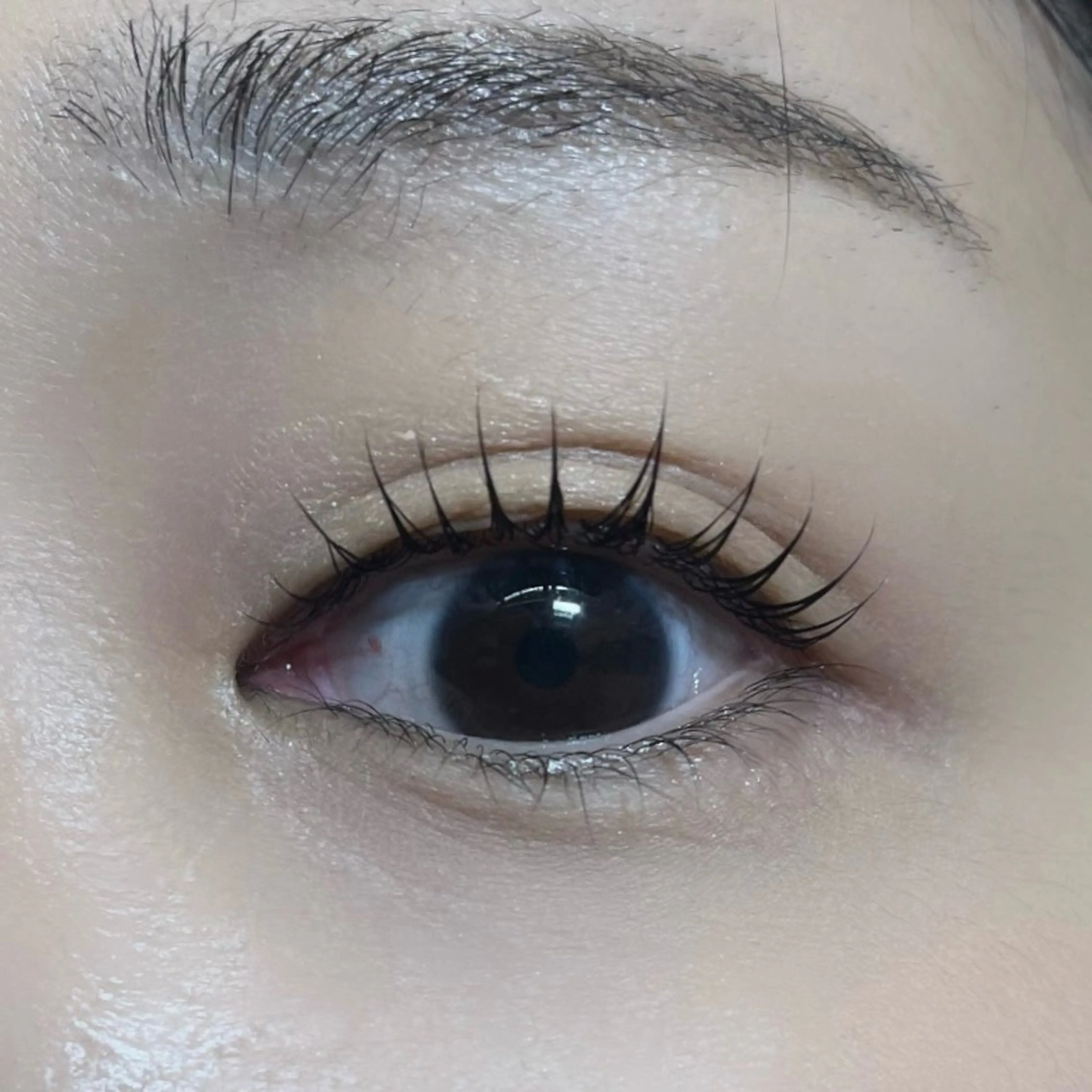 マツエク・マツパ 一重×まつ毛パーマ マツパ COCO 大黒のマツエク・マツパデザイン