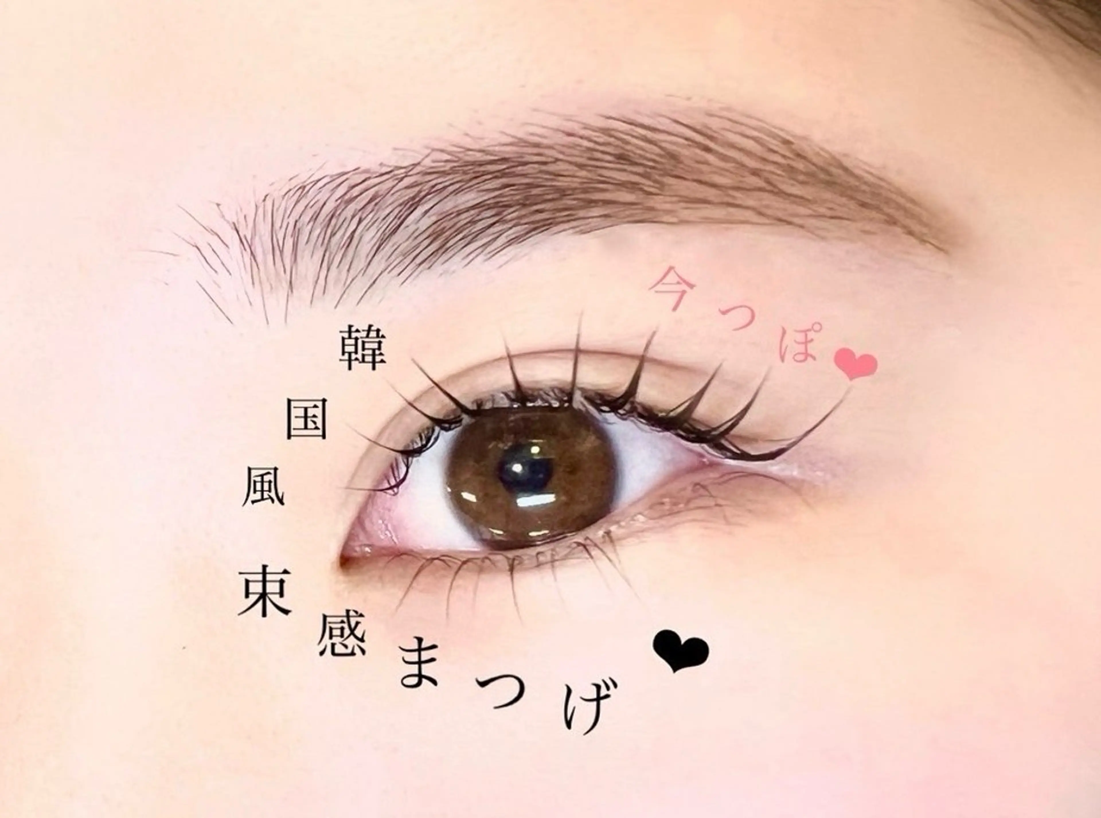 マツエク・マツパ ✨joie梅田✨ yuuのマツエク・マツパデザイン