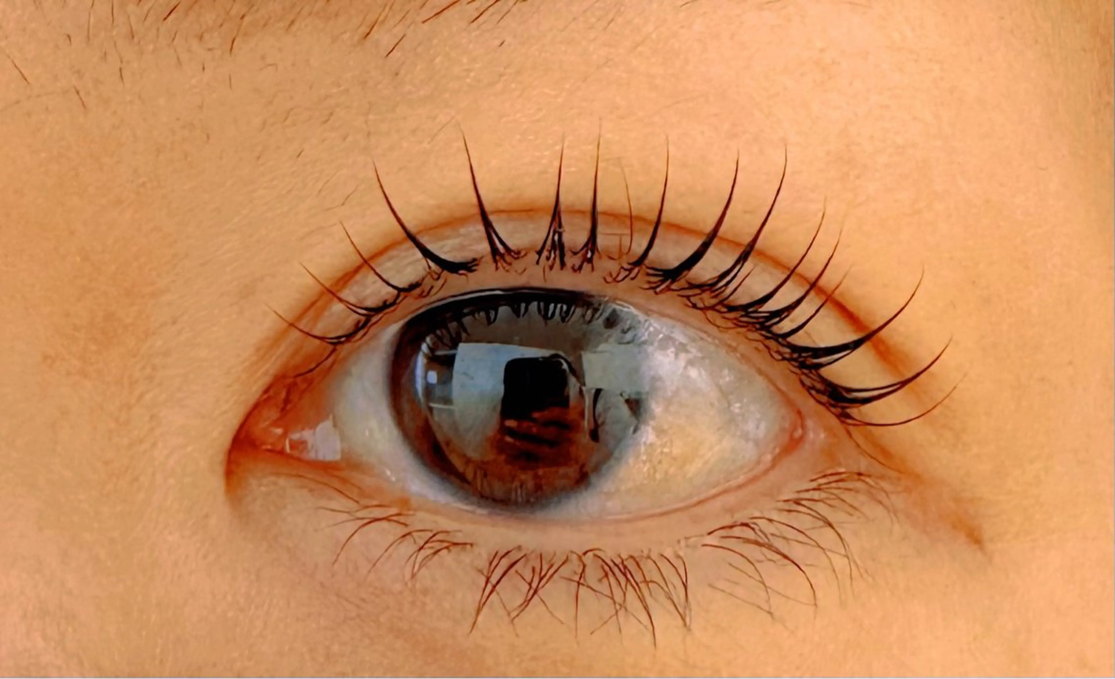 マツエク・マツパ aya 🫧の眉毛・アイブロウイメージ