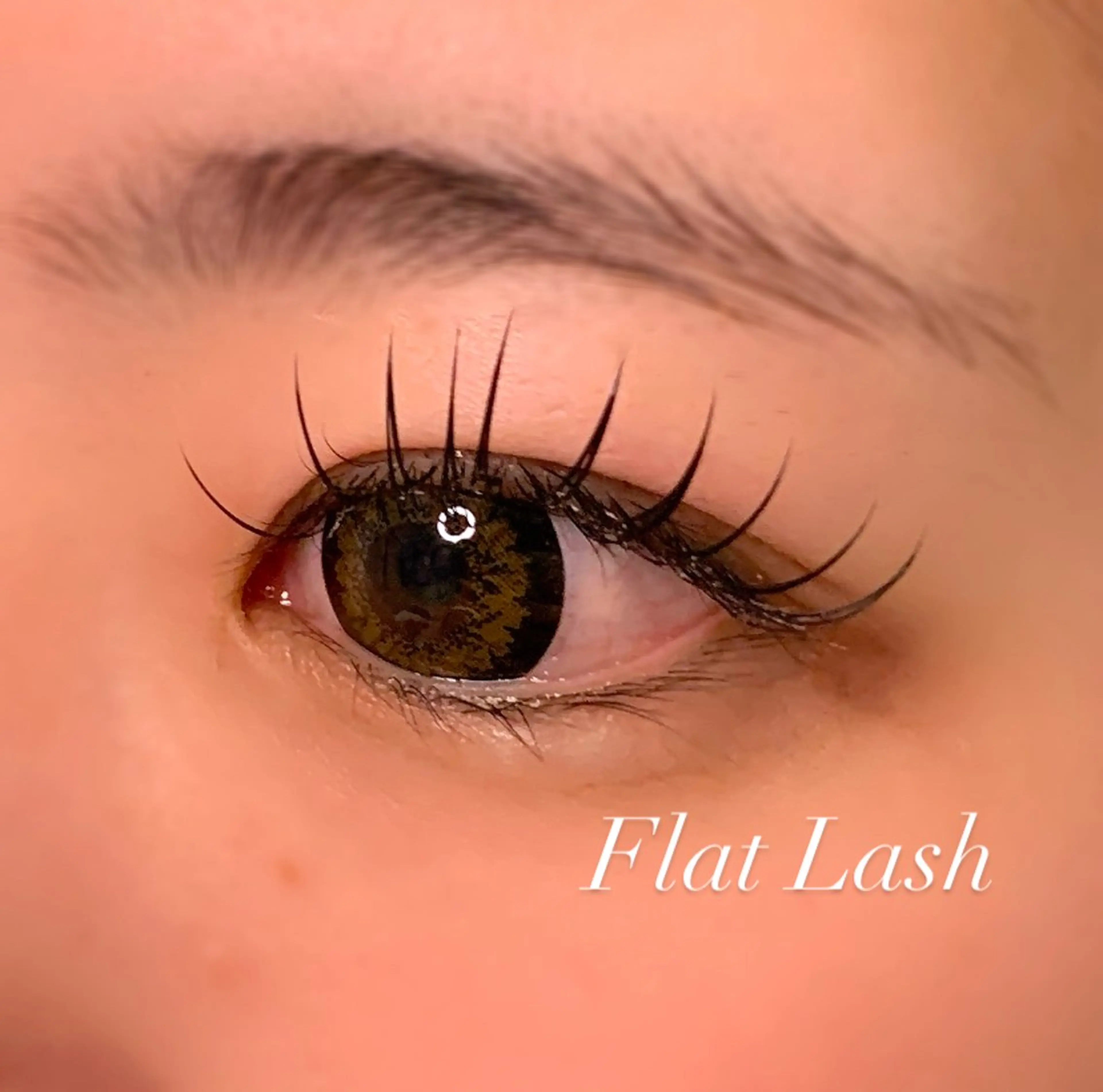 マツエク・マツパ Dカール フラットラッシュ マツエク Ayumi.pro 🍆N《4階》のマツエク・マツパデザイン