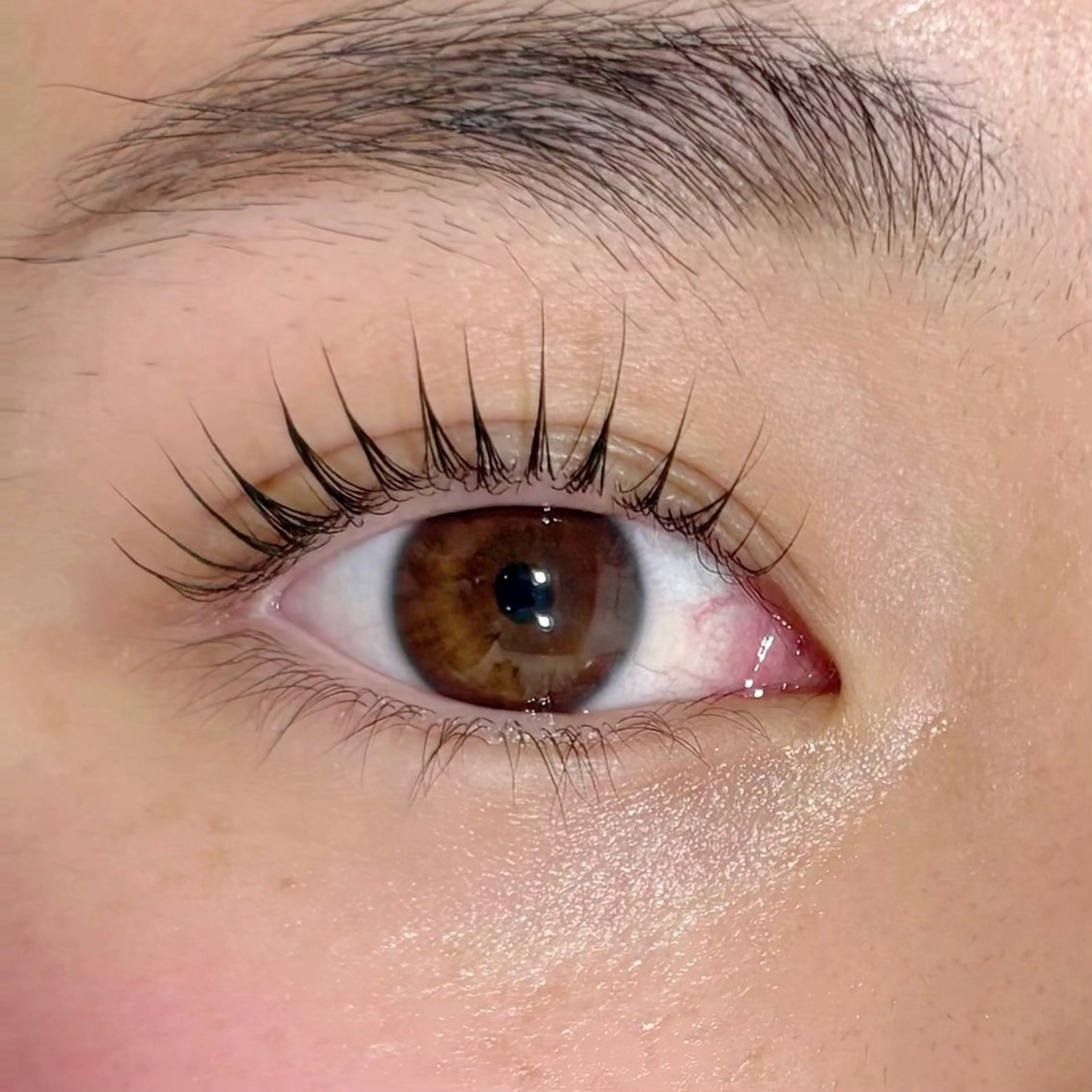 マツエク・マツパ SalonEF🌿 Hamachiのマツエク・マツパデザイン