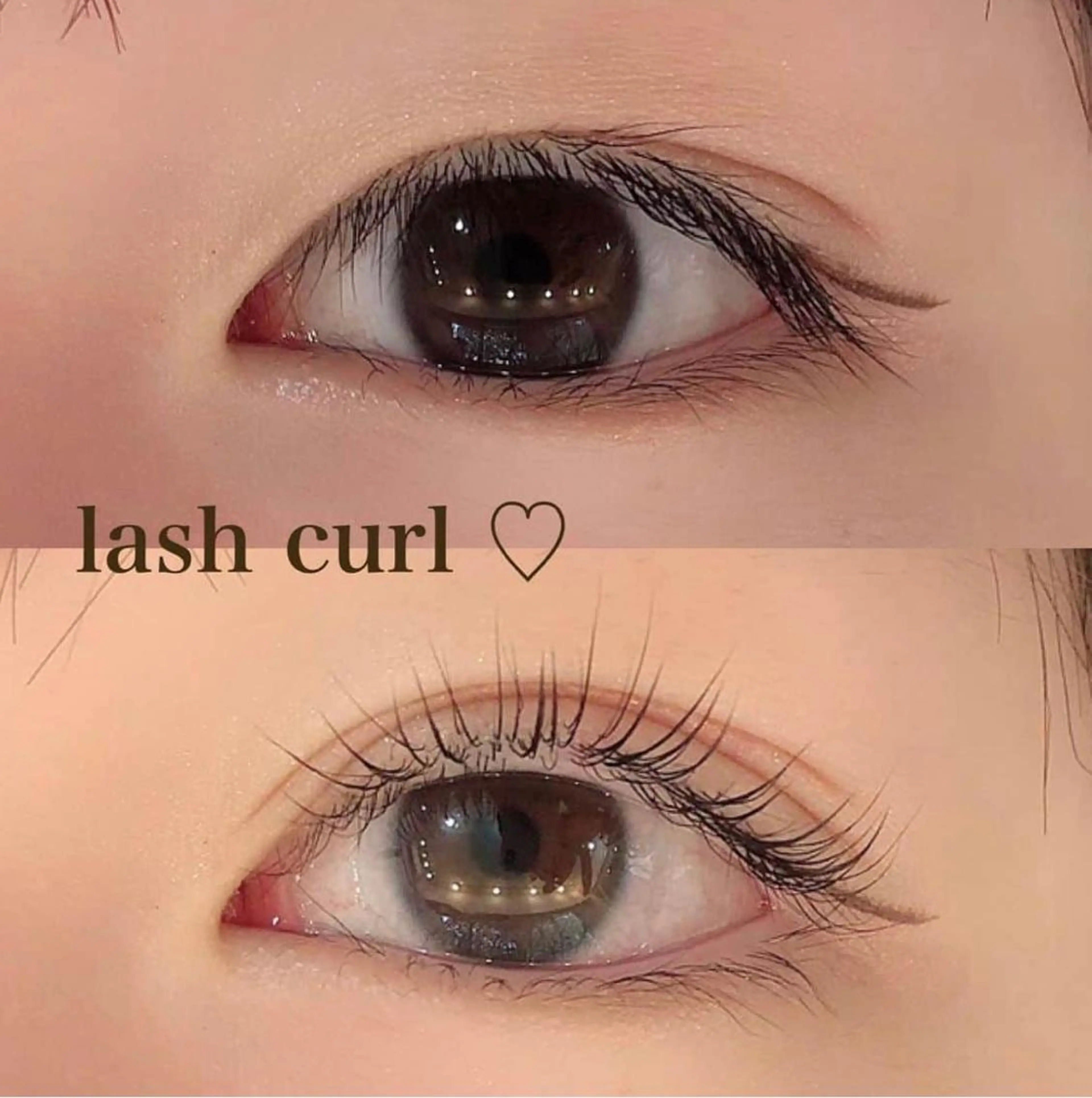 大人気💛上まつげパーマ＋トリートメント✨選べる豊富なデザインの写真