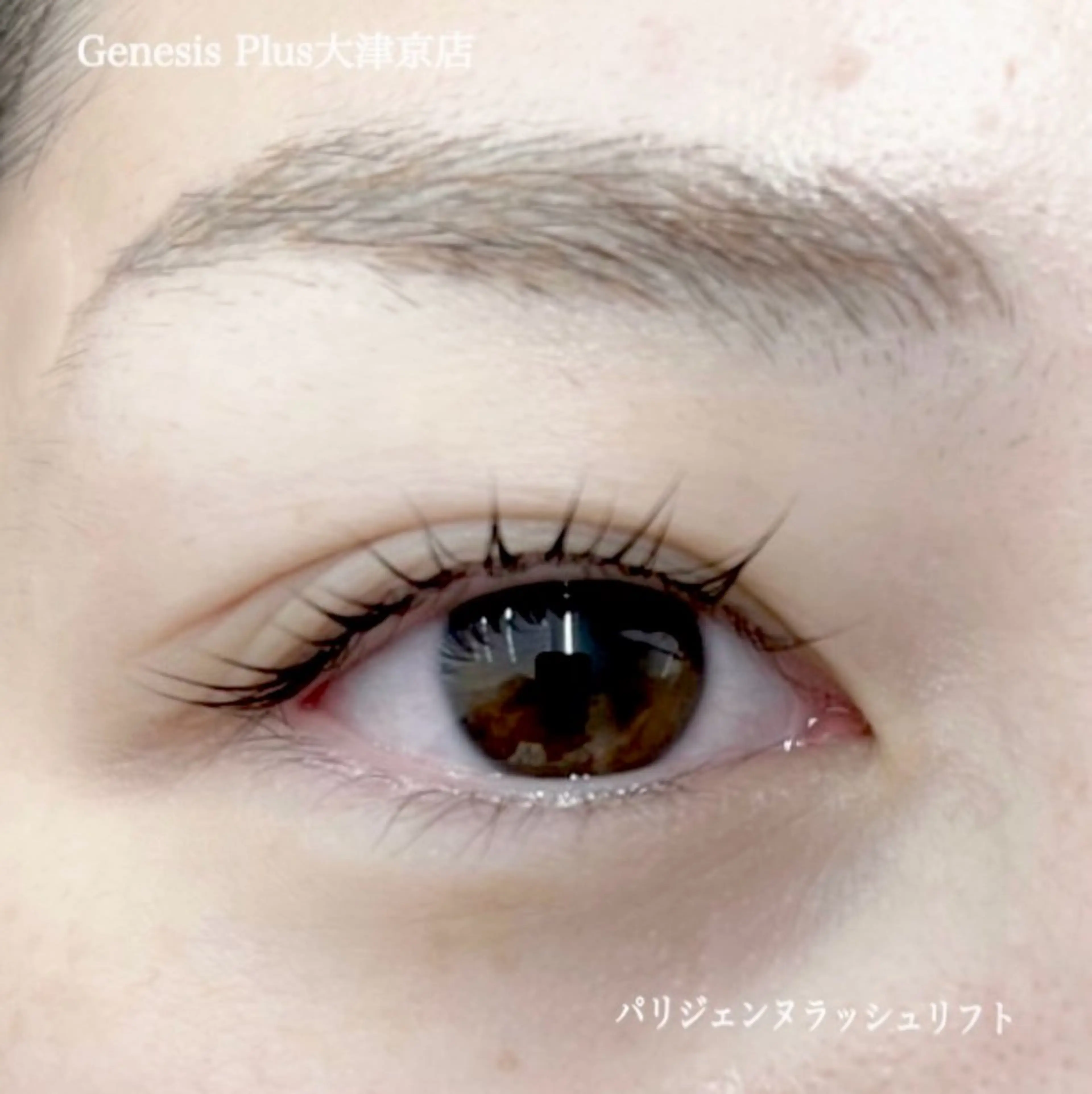マツエク・マツパ パリジェンヌラッシュリフト マツパ Genesis Plus大津京店のマツエク・マツパデザイン