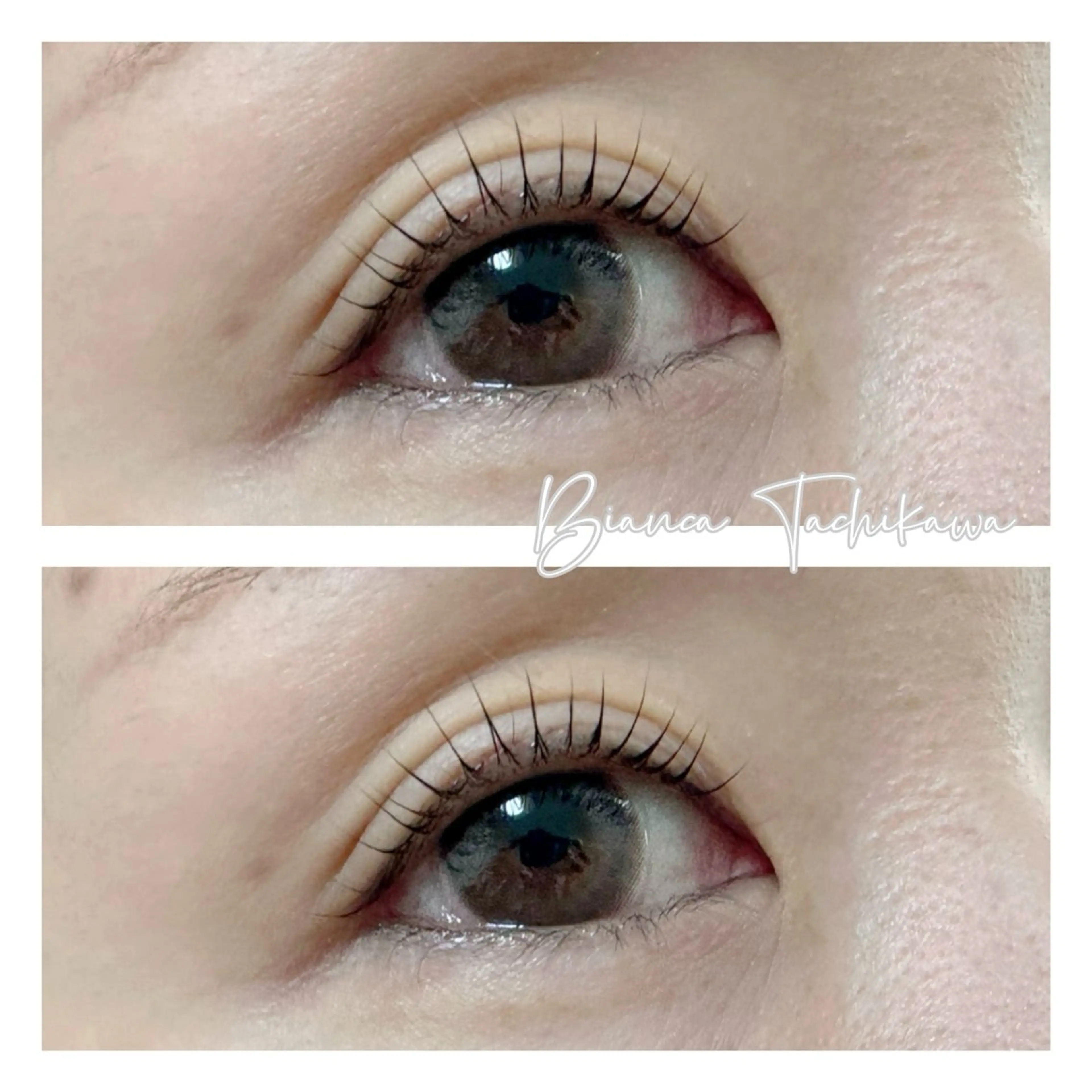 🌿フラットラッシュ120本【立川】の写真