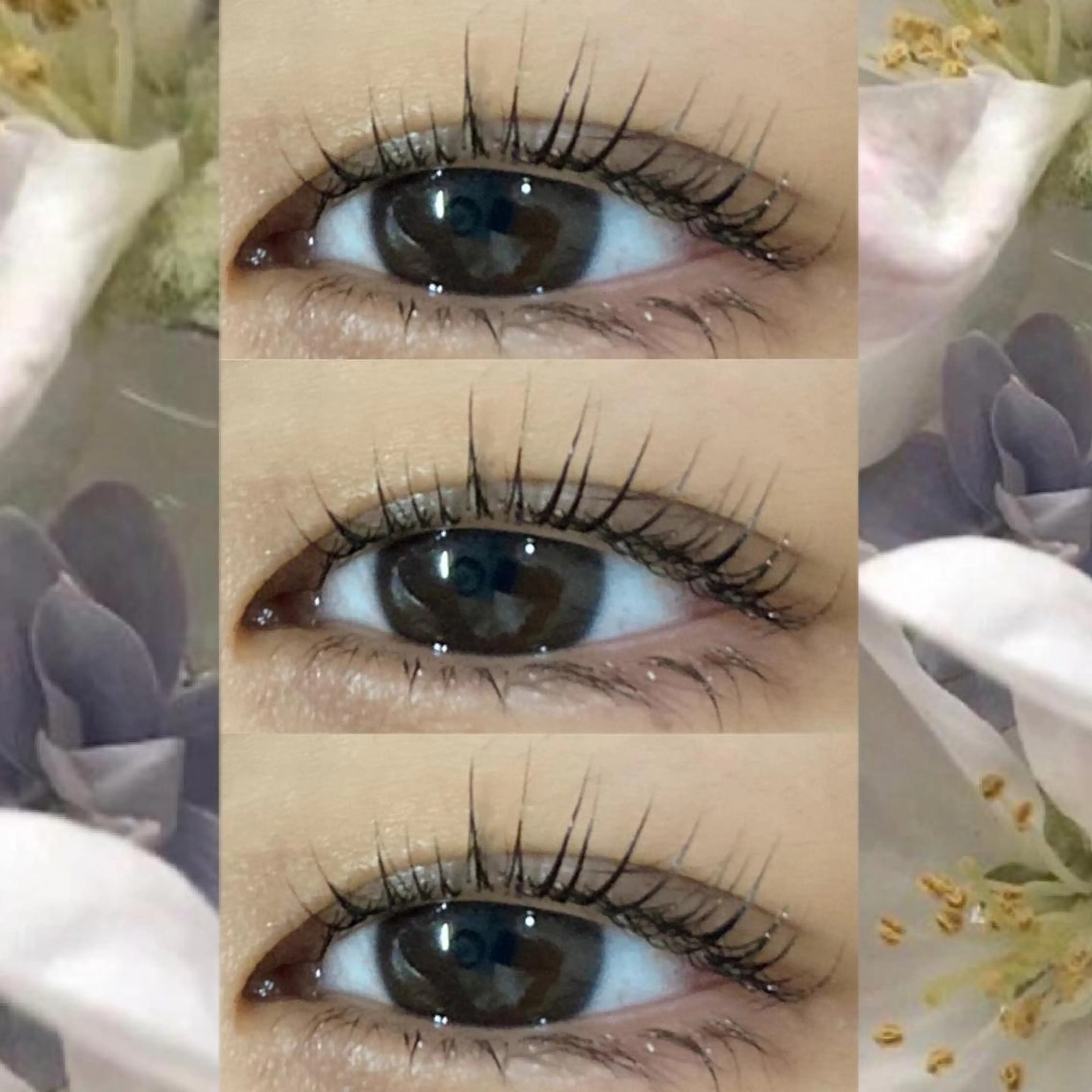 マツエク・マツパ ブラウンラッシュ カラーマツエク フラットラッシュ 韓国風マツエク まつげパーマ orihara𐙚 まつげパーマ/眉毛のマツエク・マツパデザイン