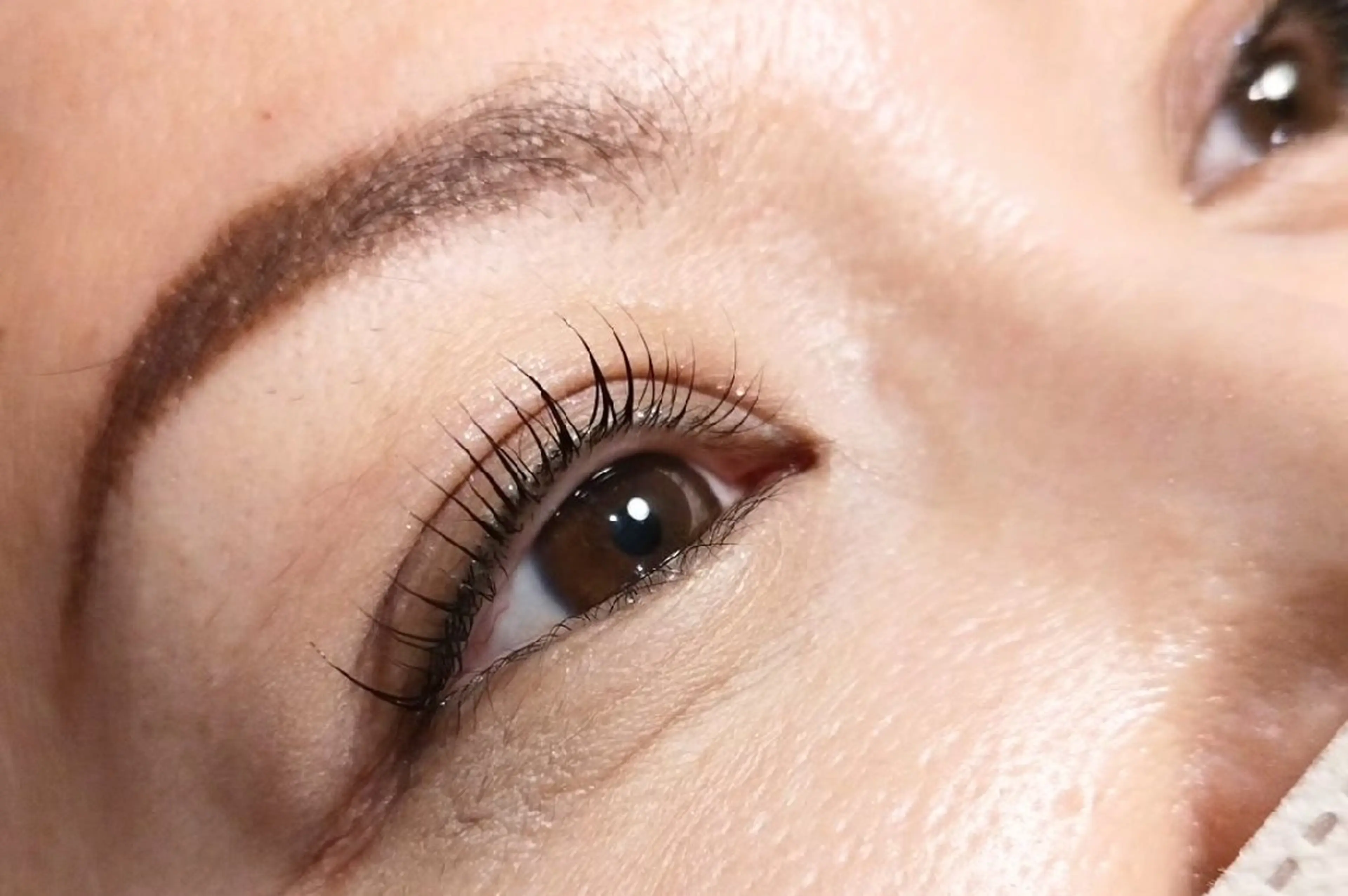 次世代ラッシュリフトの写真