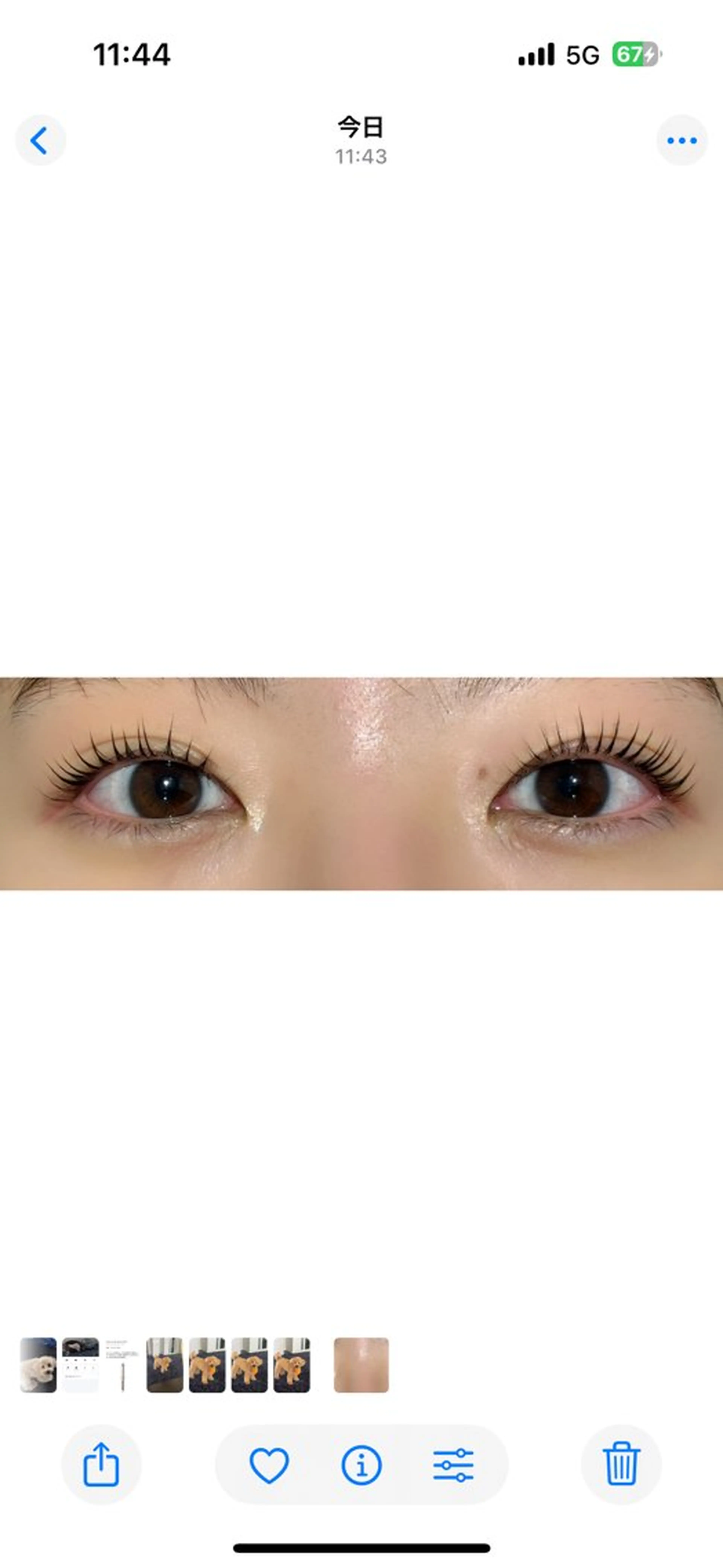 マツエク・マツパ まつげパーマ * *の眉毛・アイブロウイメージ