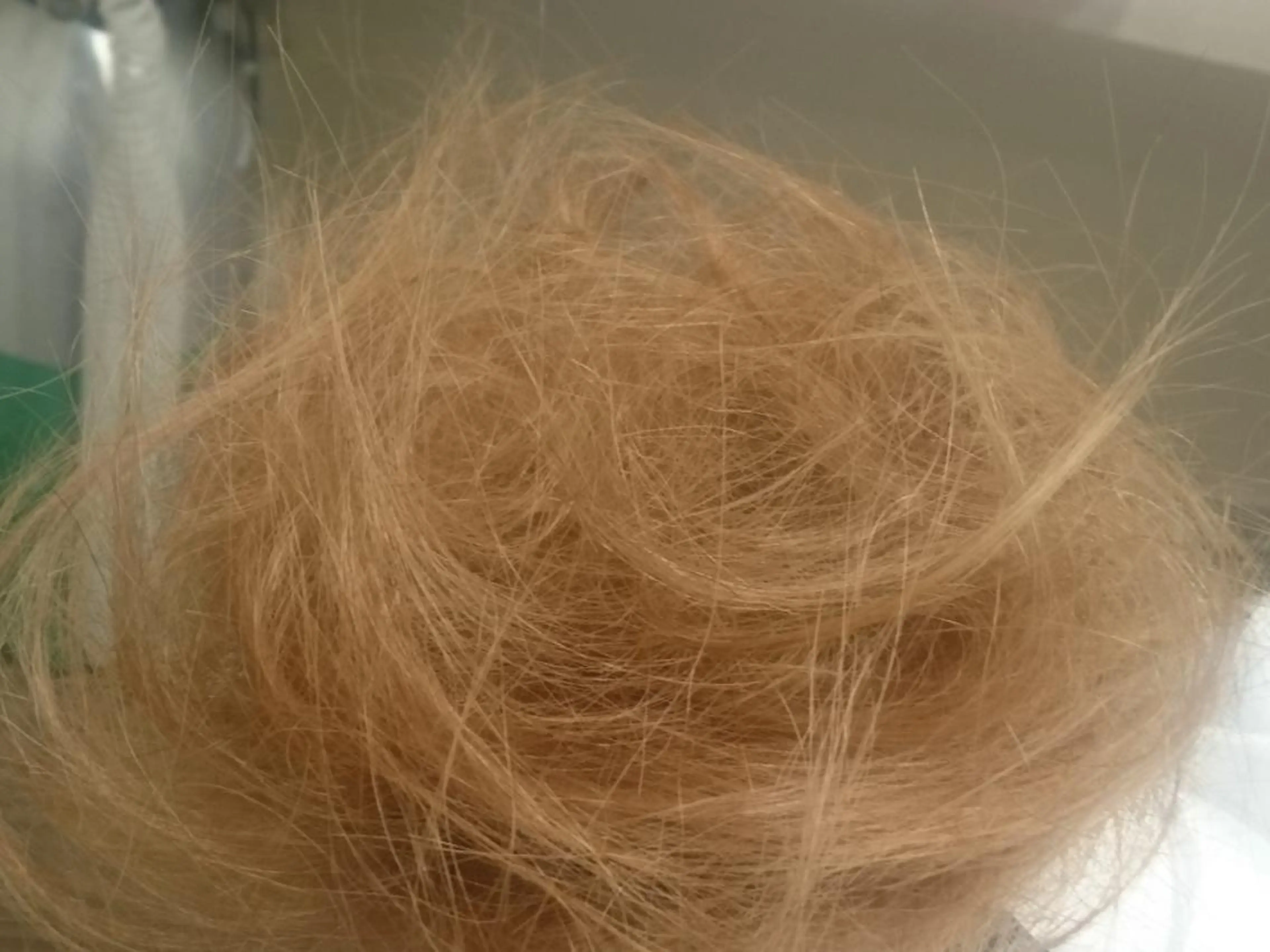 ミニモ限定 フレンチカット(毛量調節のみシャンプー無)の写真