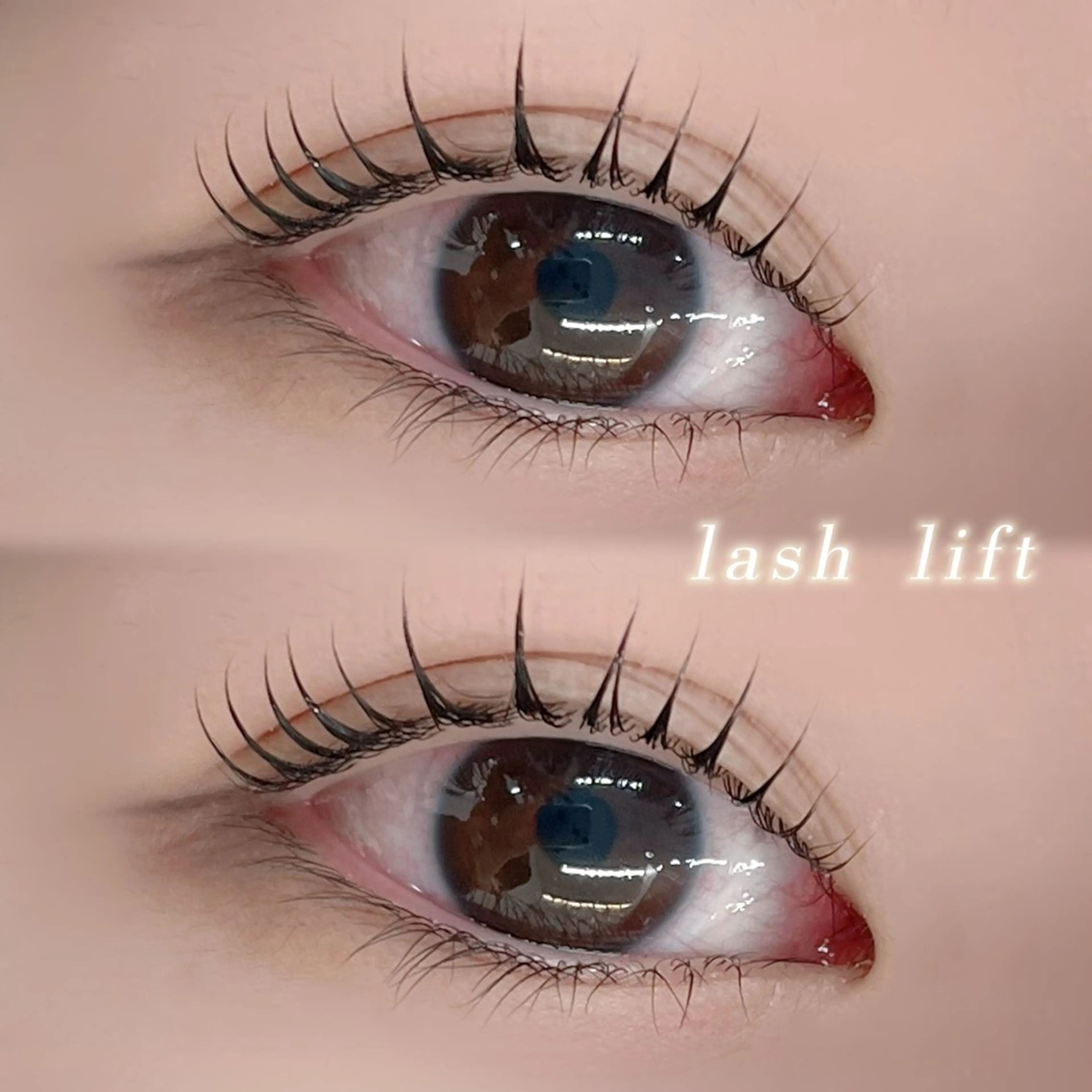 🩵来店２回目🩵まつげパーマ+美容液コーティングの写真