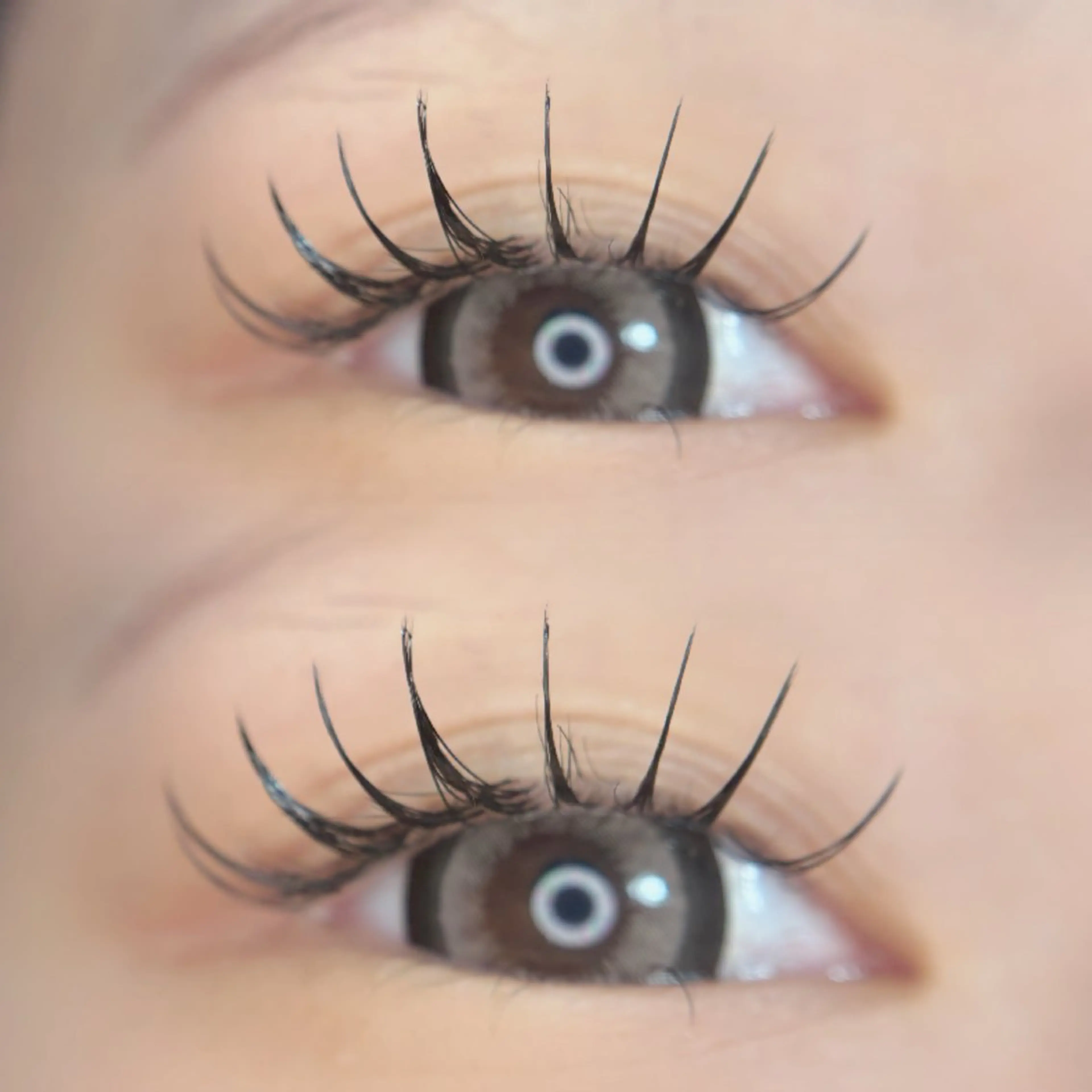 マツエク・マツパ アップワードラッシュ 🦋MaaZlash 南流山FUKA🤍のマツエク・マツパデザイン