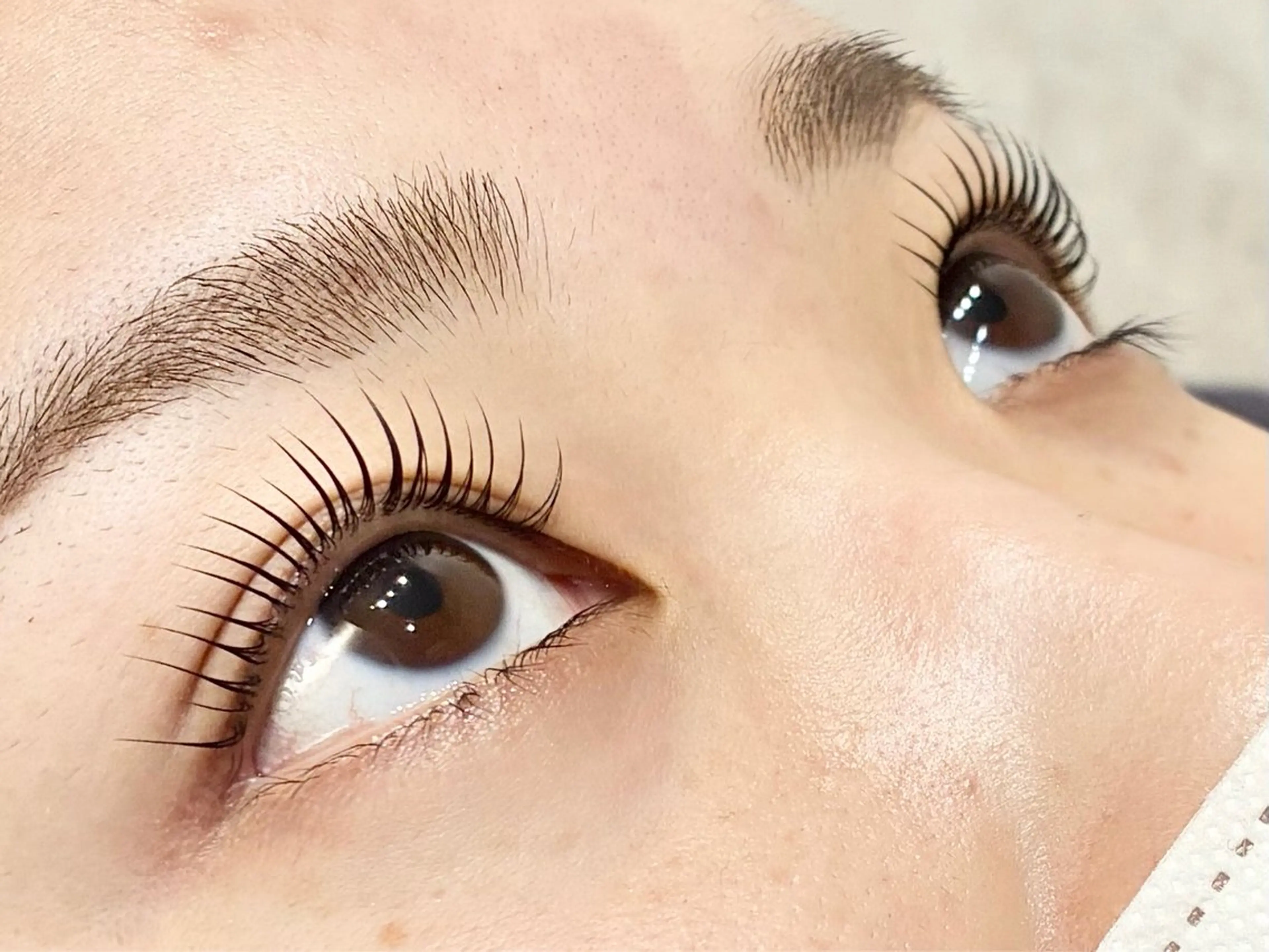 マツエク・マツパ パリジェンヌラッシュリフト マツパ 中村彩香 (エフドゥ)のマツエク・マツパデザイン