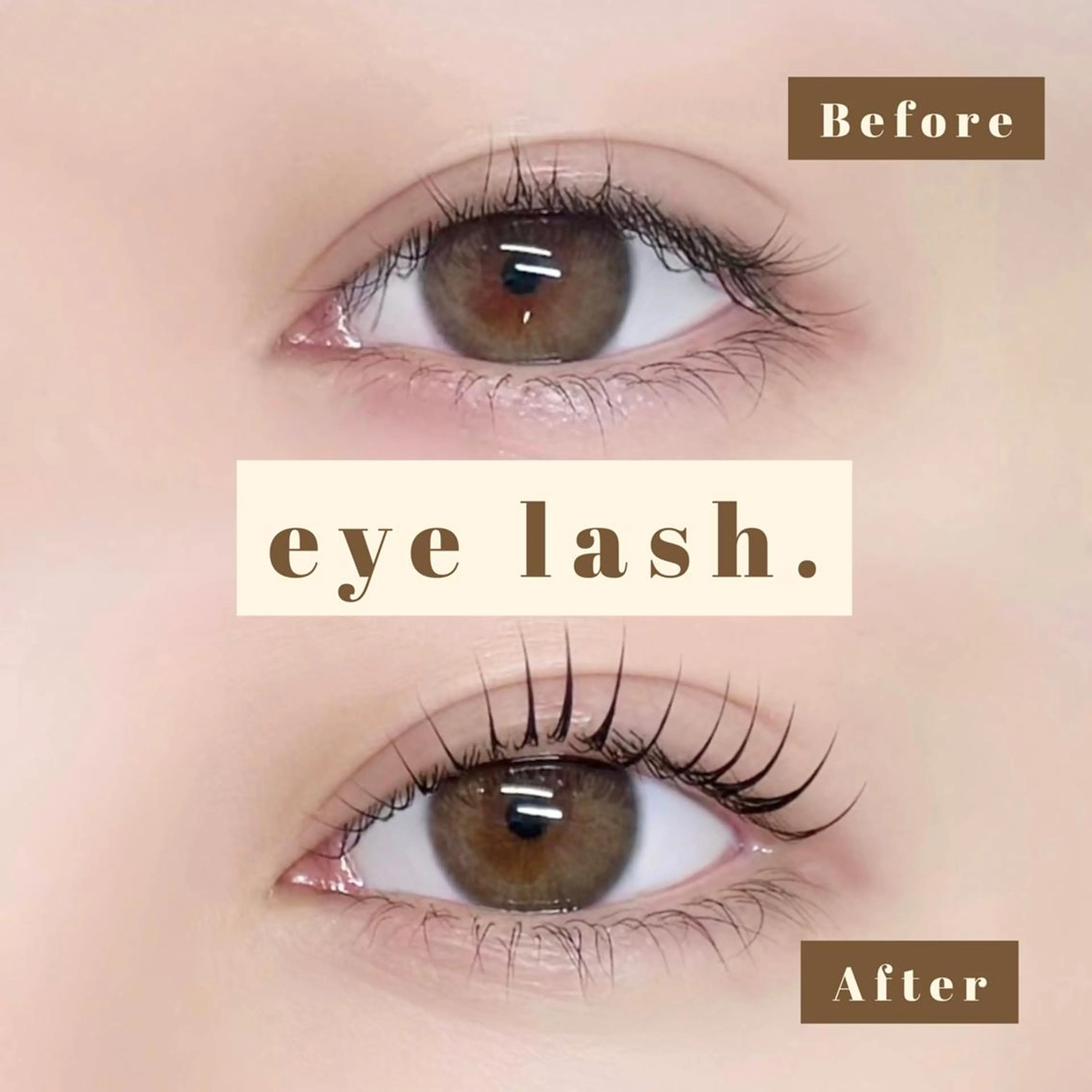 ご新規様限定価格.ᐟ.ᐟ 🥨 似合わせまつ毛パーマ アイシャンプー🧴➕コーティング付き🪄 🥨の写真