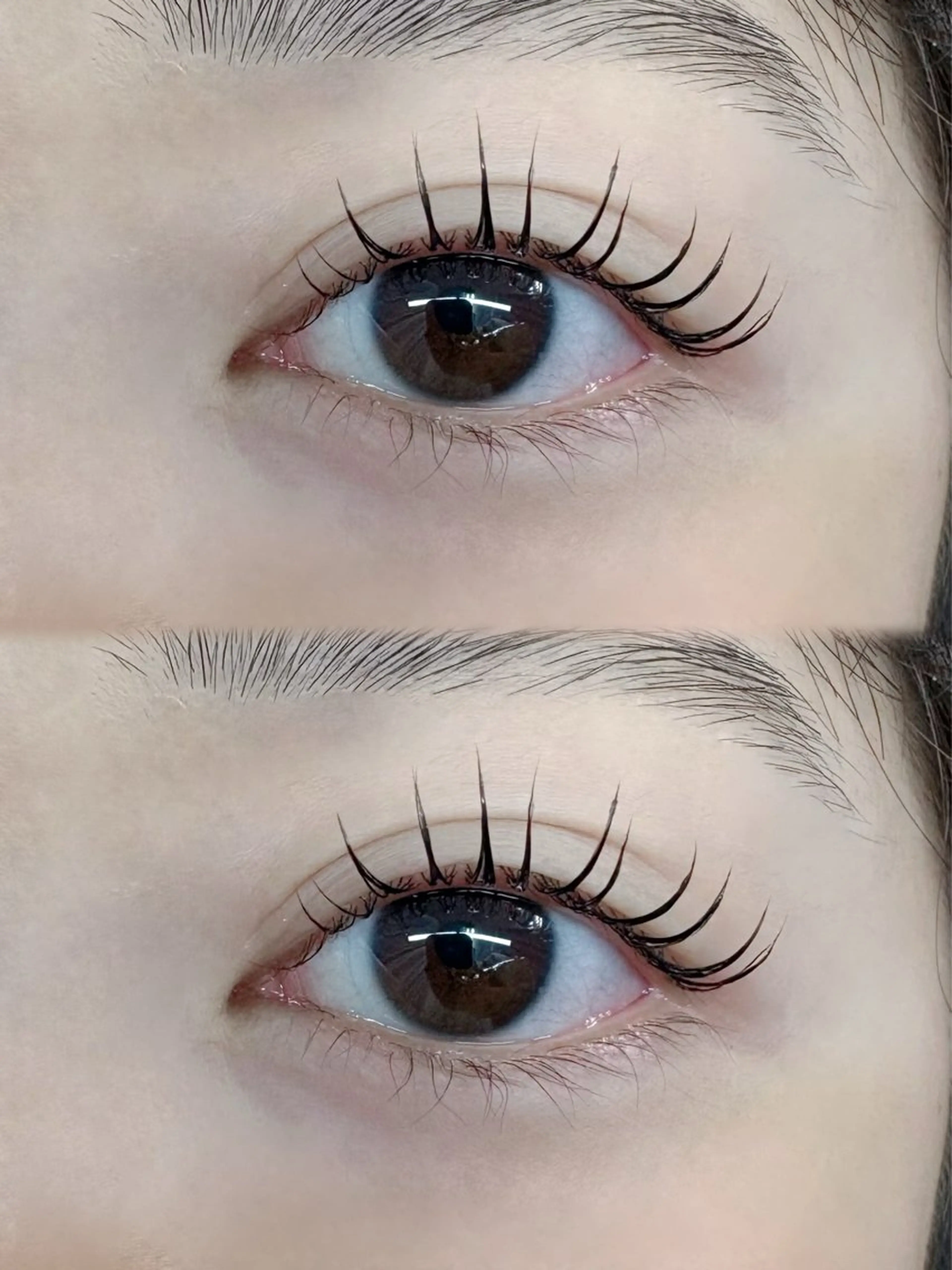 マツエク・マツパ Dカール Stella Naoのマツエク・マツパデザイン