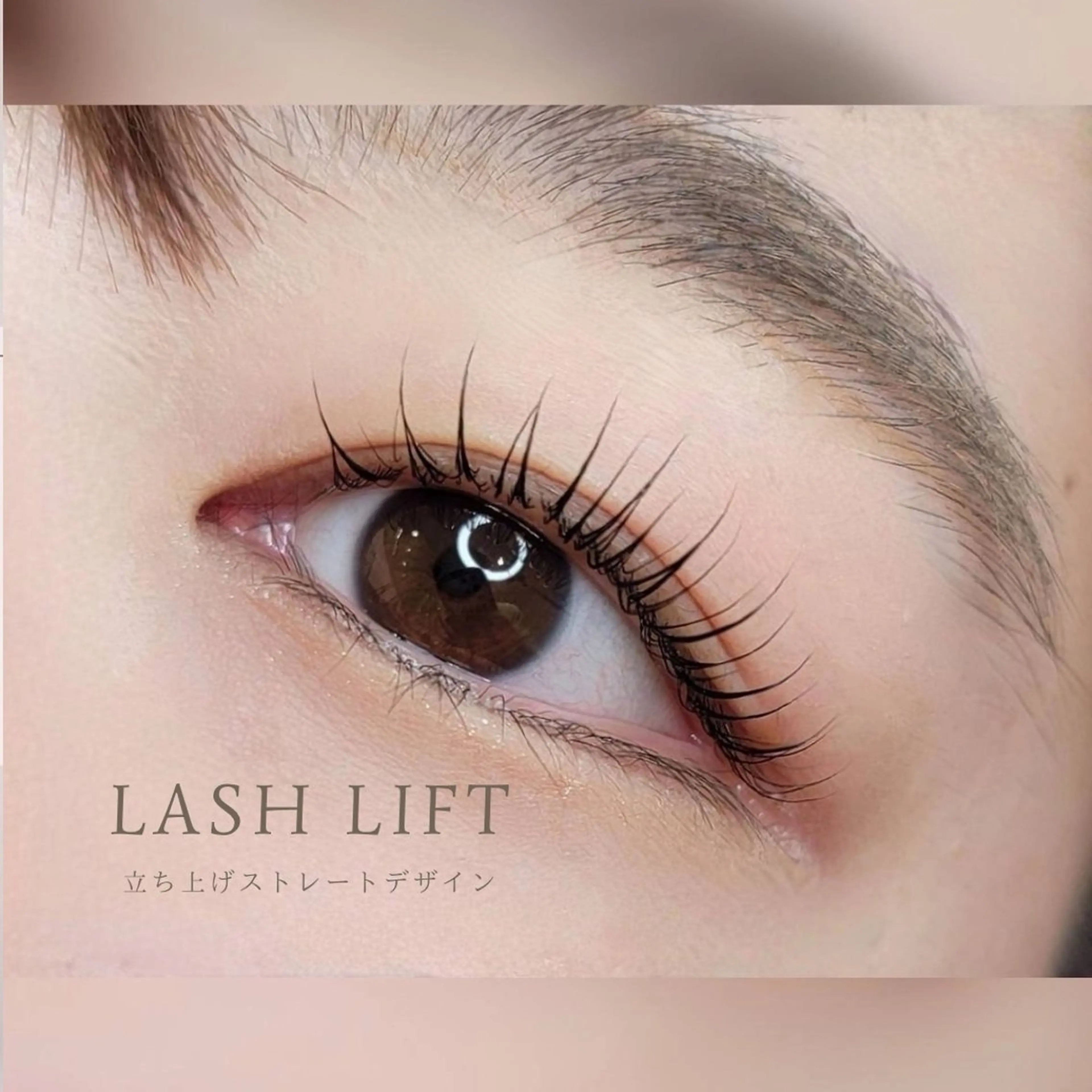 ラッシュリフト❤️上下マツパの写真