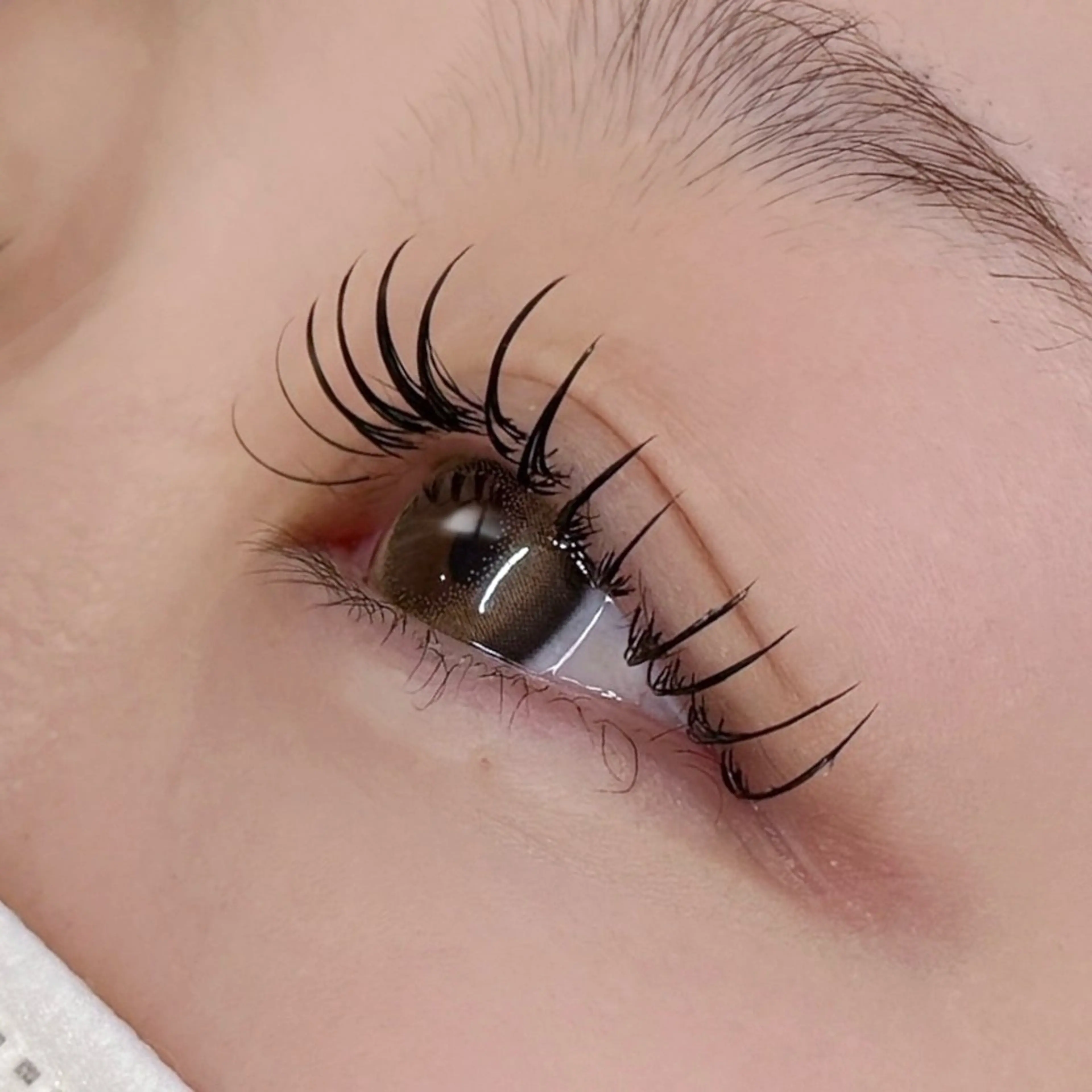 フラットラッシュ✨まつ毛エクステ140本の写真