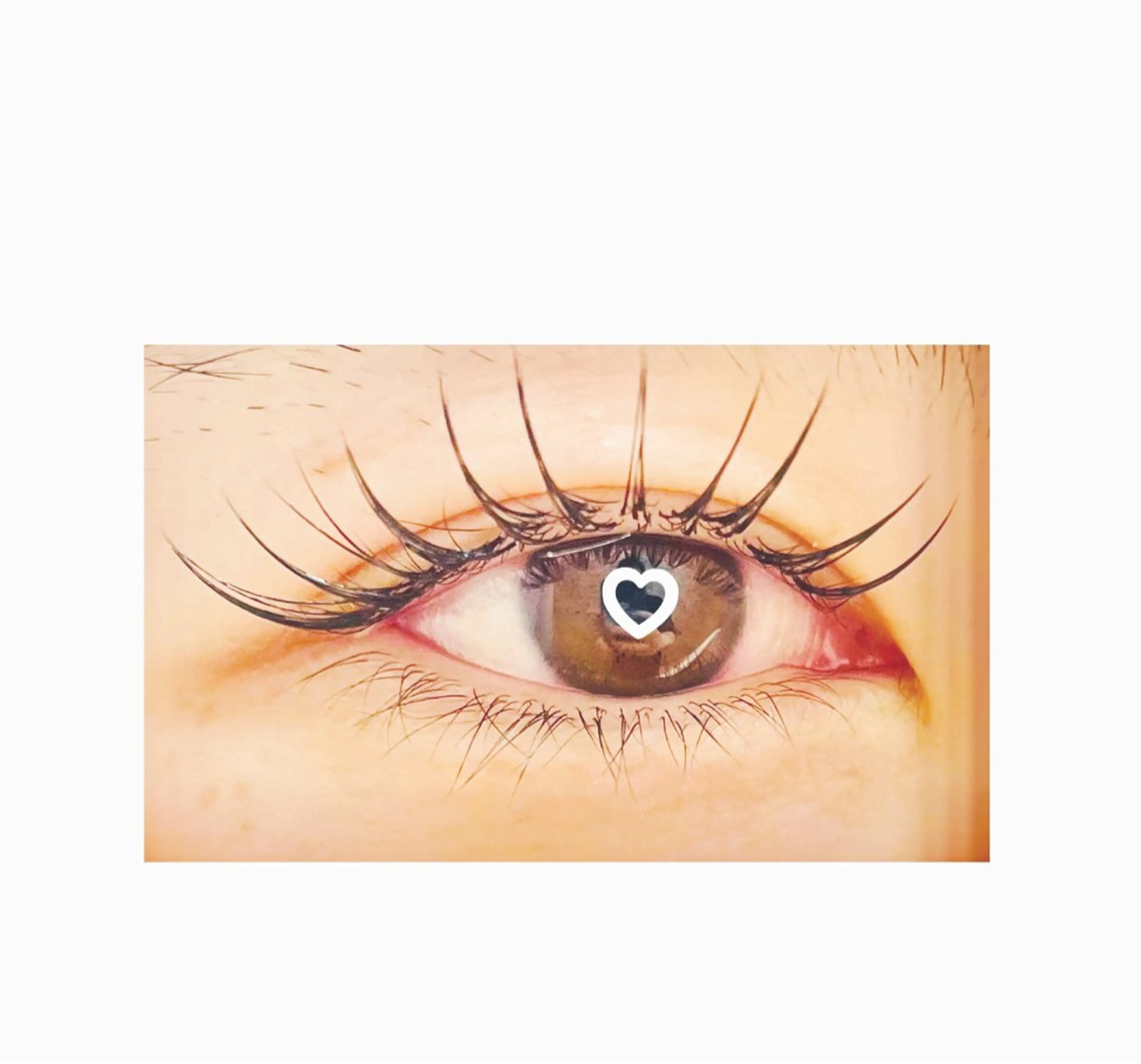 マツエク・マツパ セーブル アップワードラッシュ マキア青森浜田店 阿部のマツエク・マツパデザイン