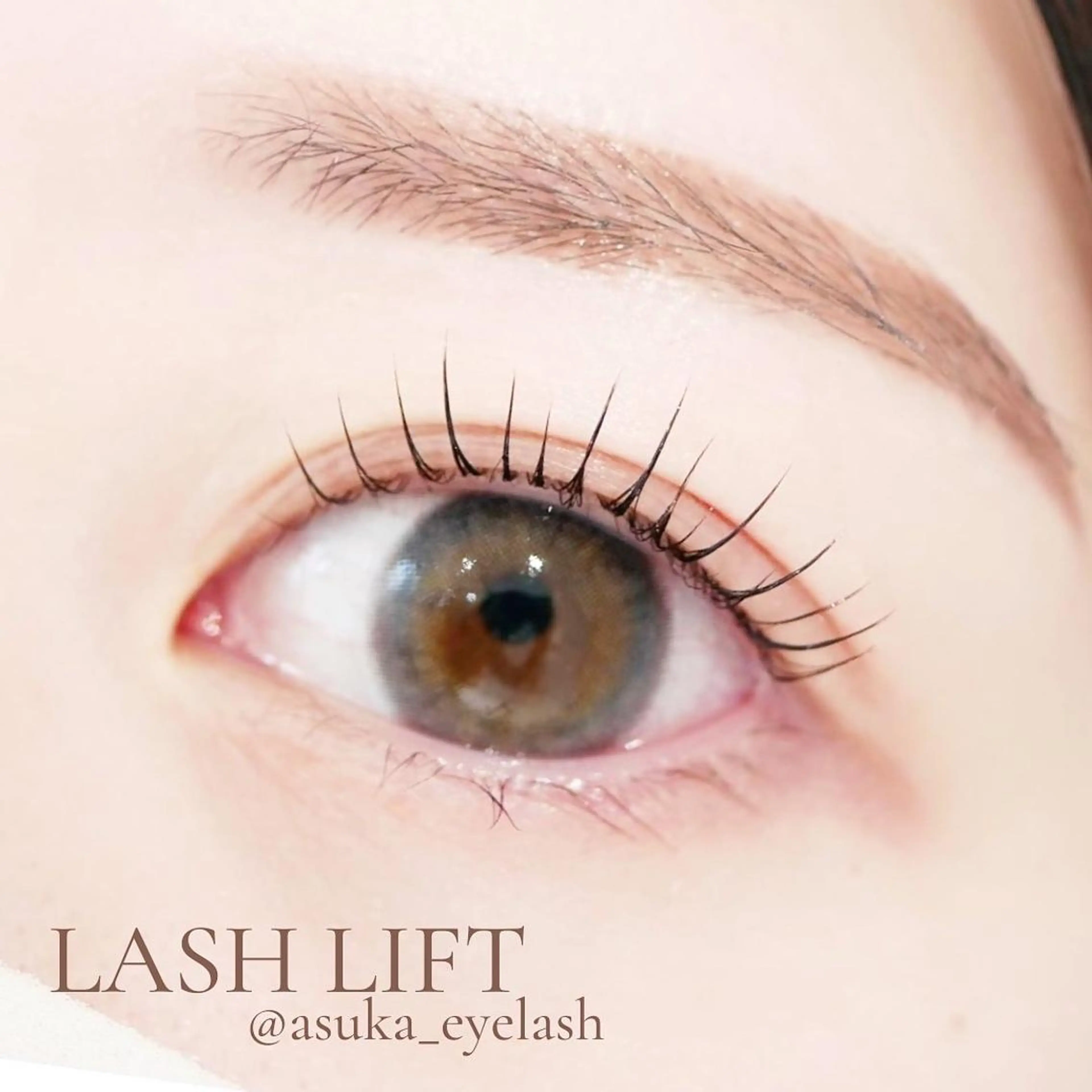 マツエク・マツパ asuka 𖥸 アイブロウ🦊🤎の眉毛・アイブロウイメージ