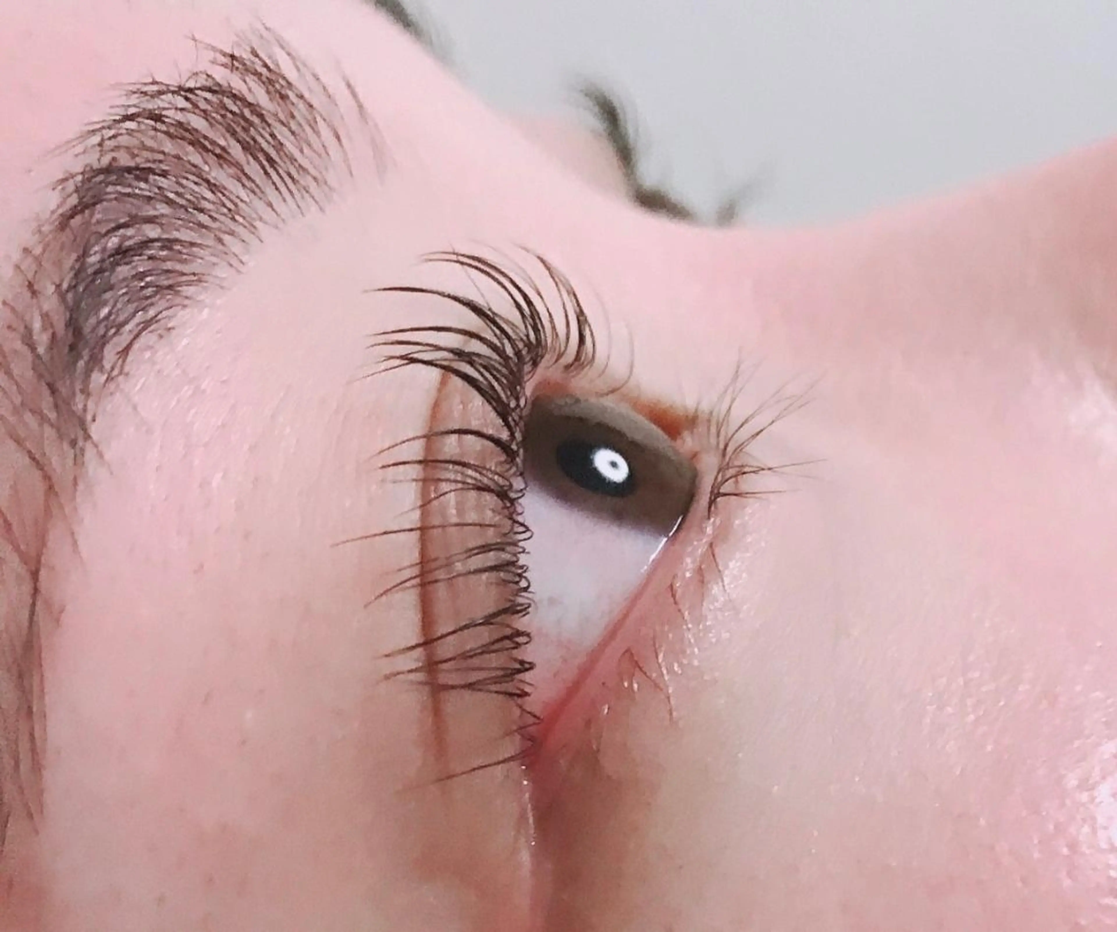 マツエク・マツパ ナチュラル 一重×まつ毛パーマ マツパ アイラッシュサロン ミノのマツエク・マツパデザイン