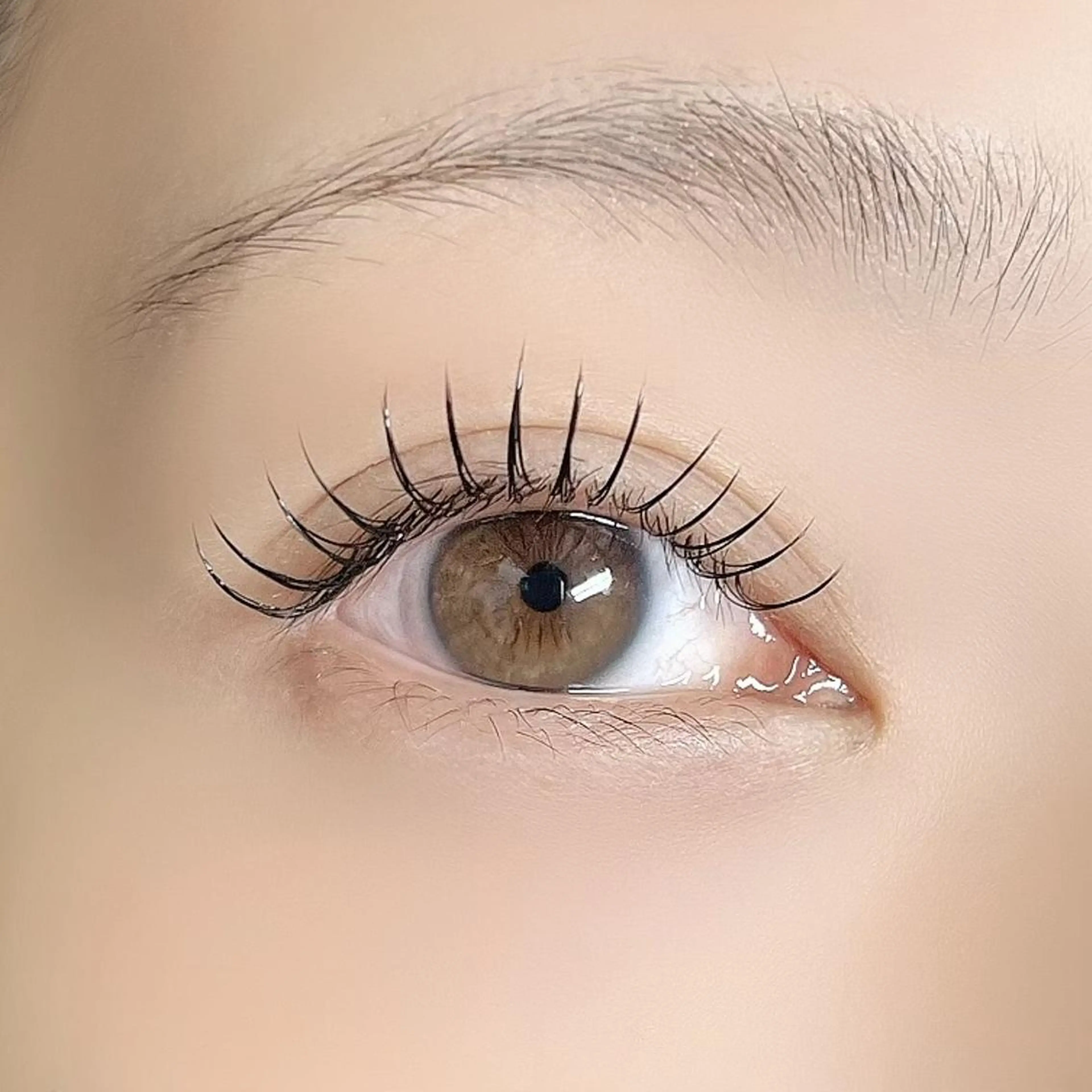 マツエク・マツパ K's LASH （アイリスト）のマツエク・マツパデザイン