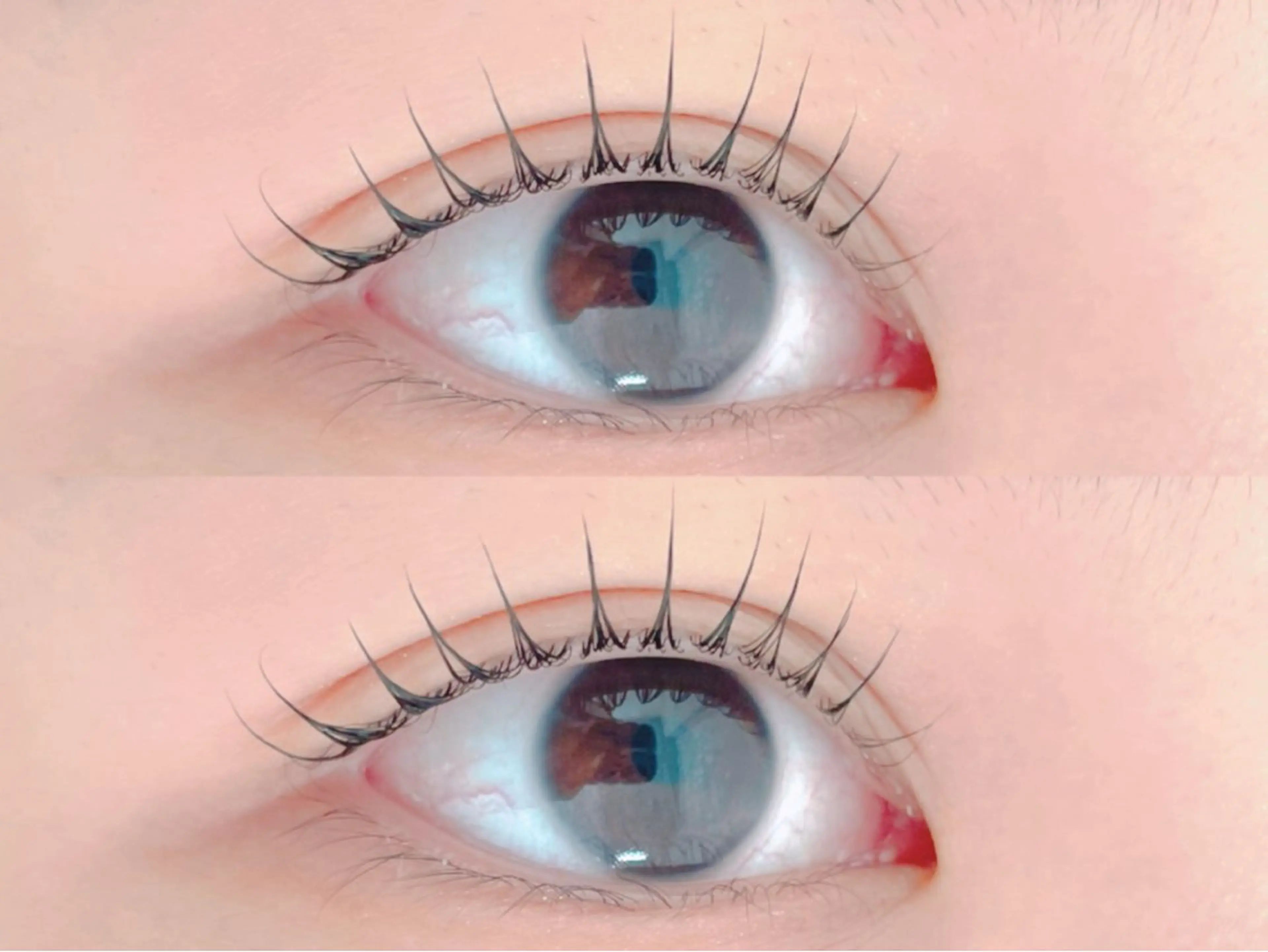 マツエク・マツパ Dカール 一重×まつ毛パーマ A yuのマツエク・マツパデザイン