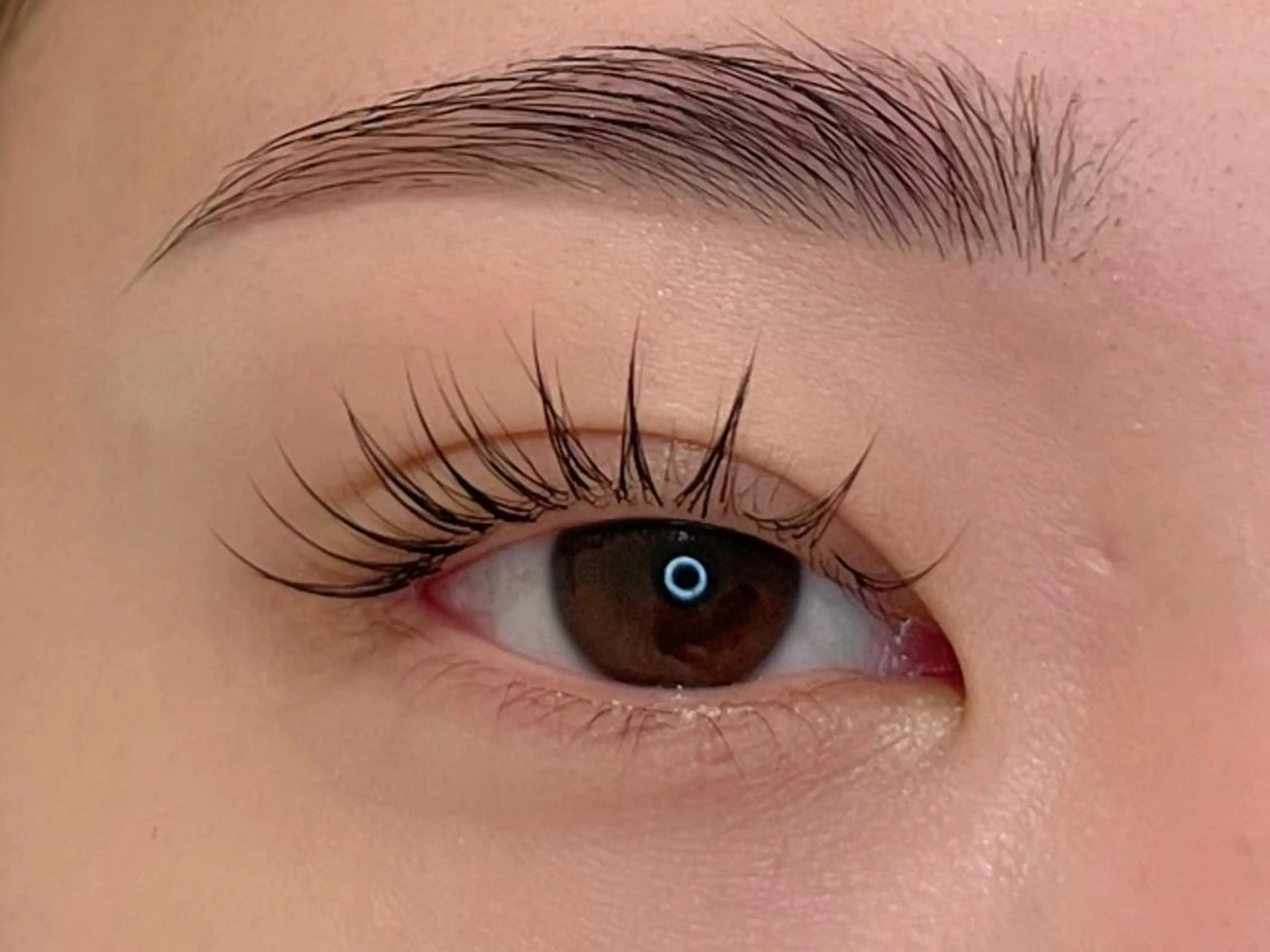 🧸minimo限定特別価格❕❕🪞最高級フラットラッシュ60本まで🪞(他店リペア不可)【LED+¥1000】の写真