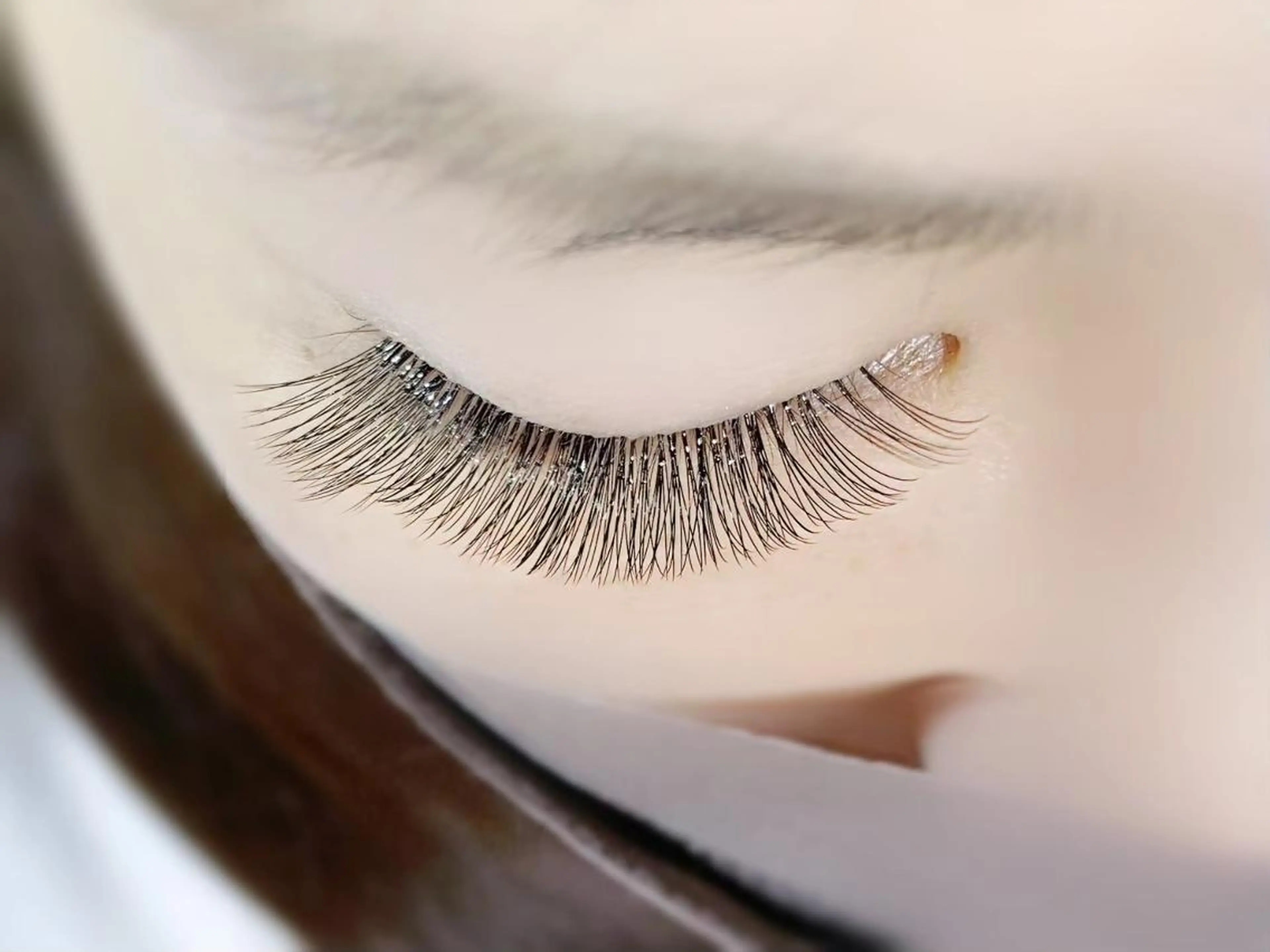 予約開始❤️3Dボリュームラッシュ80束/240本モデル募集の写真