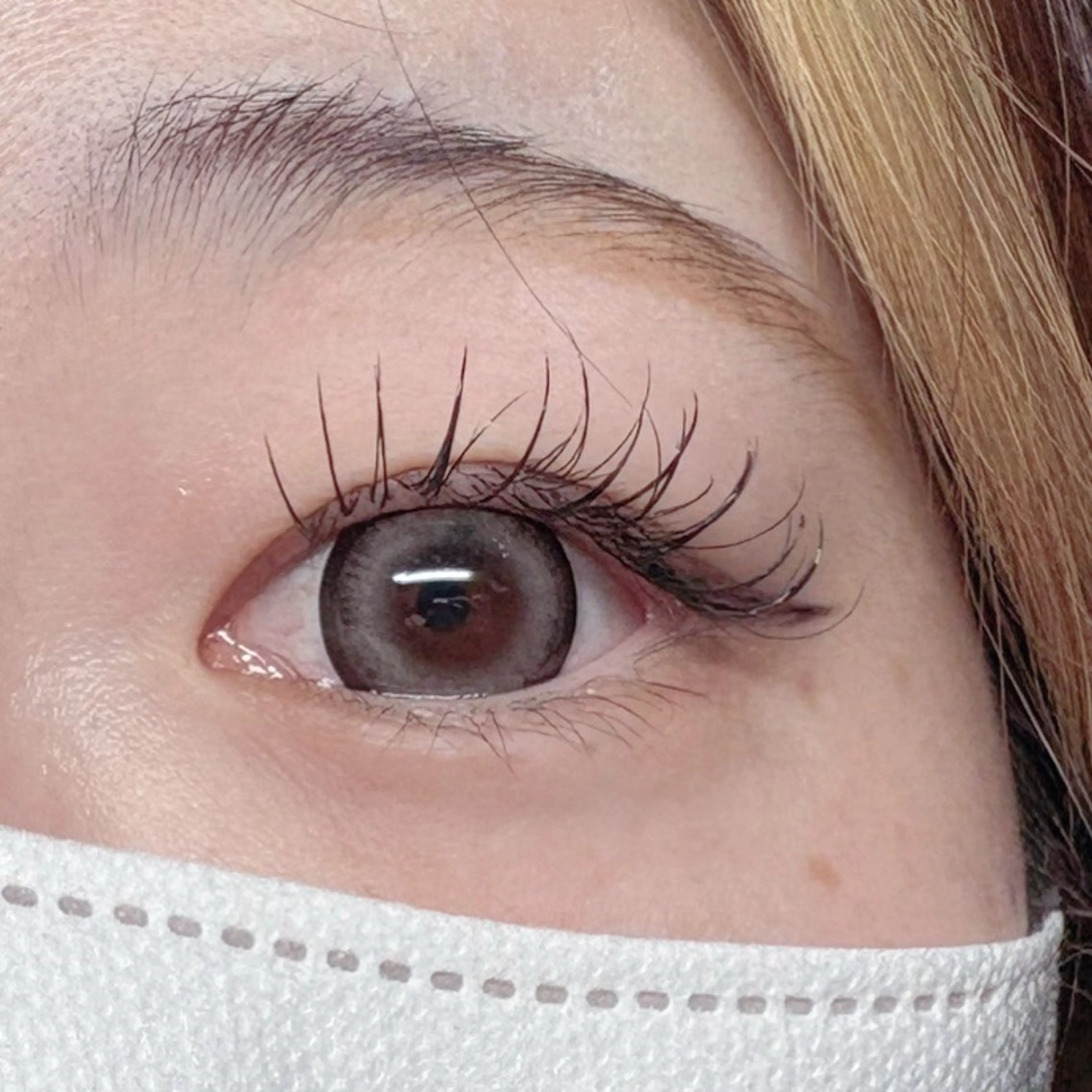 flatlush single(フラットラッシュ)100本の写真