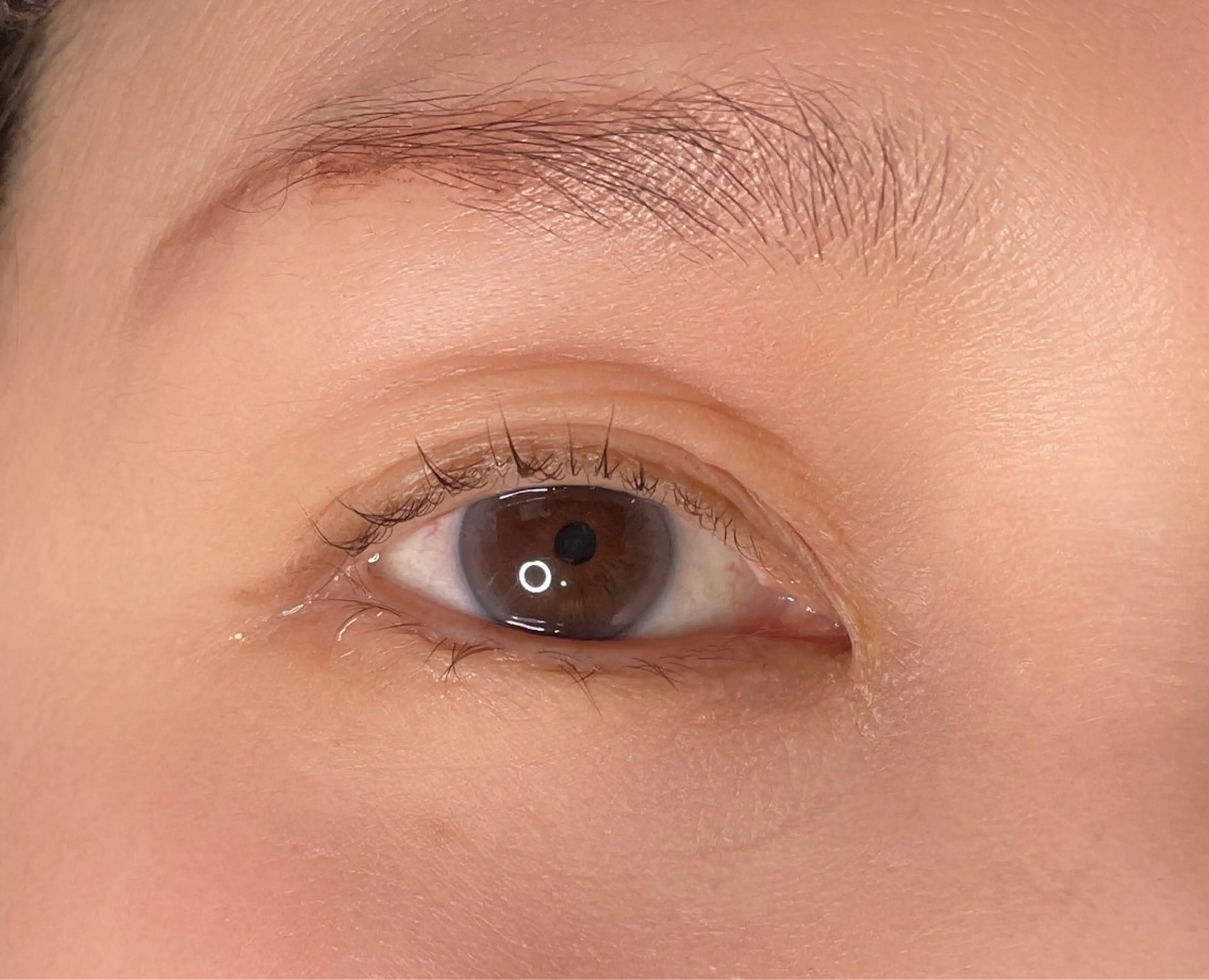 マツエク・マツパ Luo 米泉店 ¨̮ 松山采加の眉毛・アイブロウイメージ